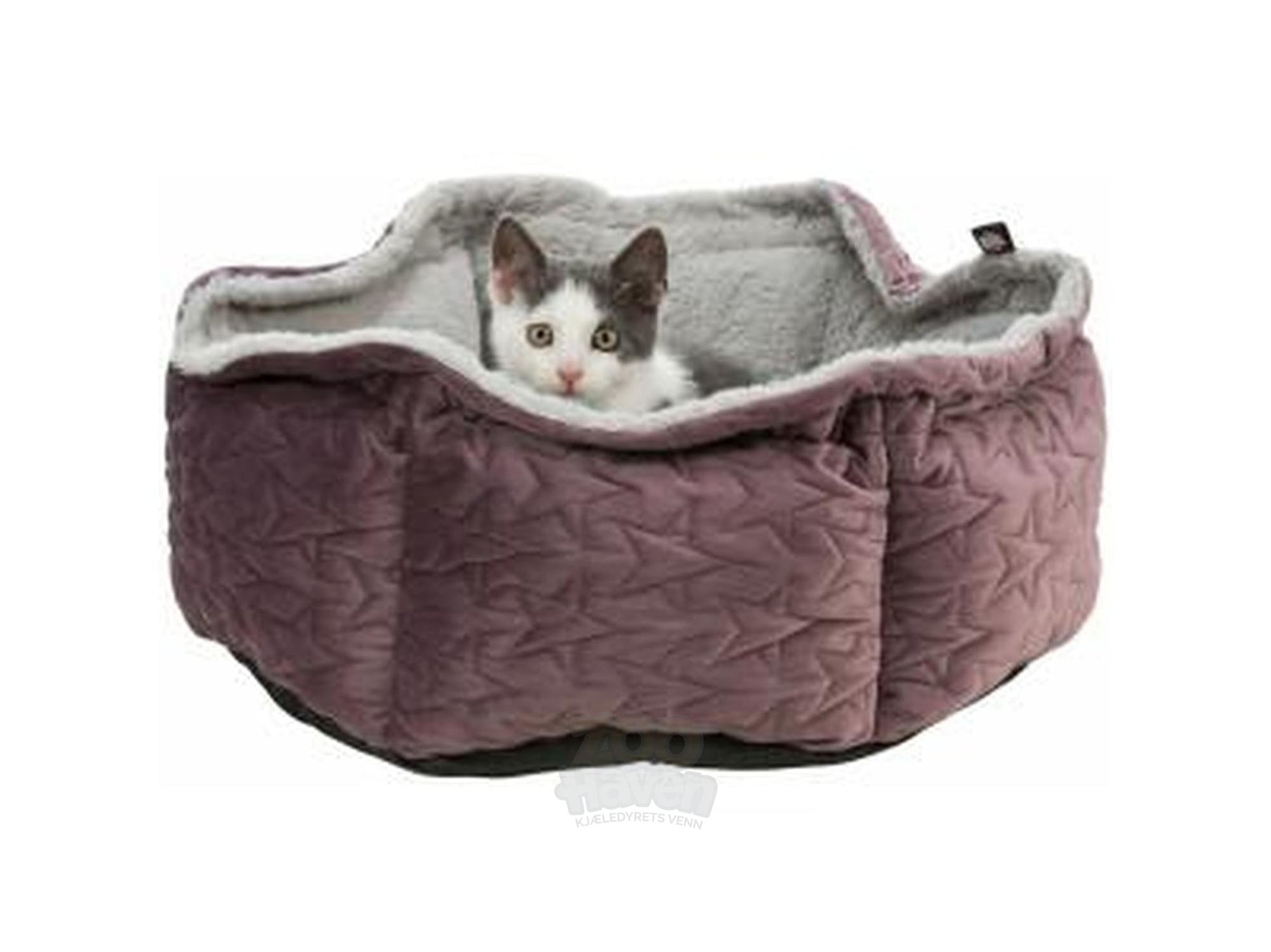 Trixie Juleseng Estelle – bilde 2