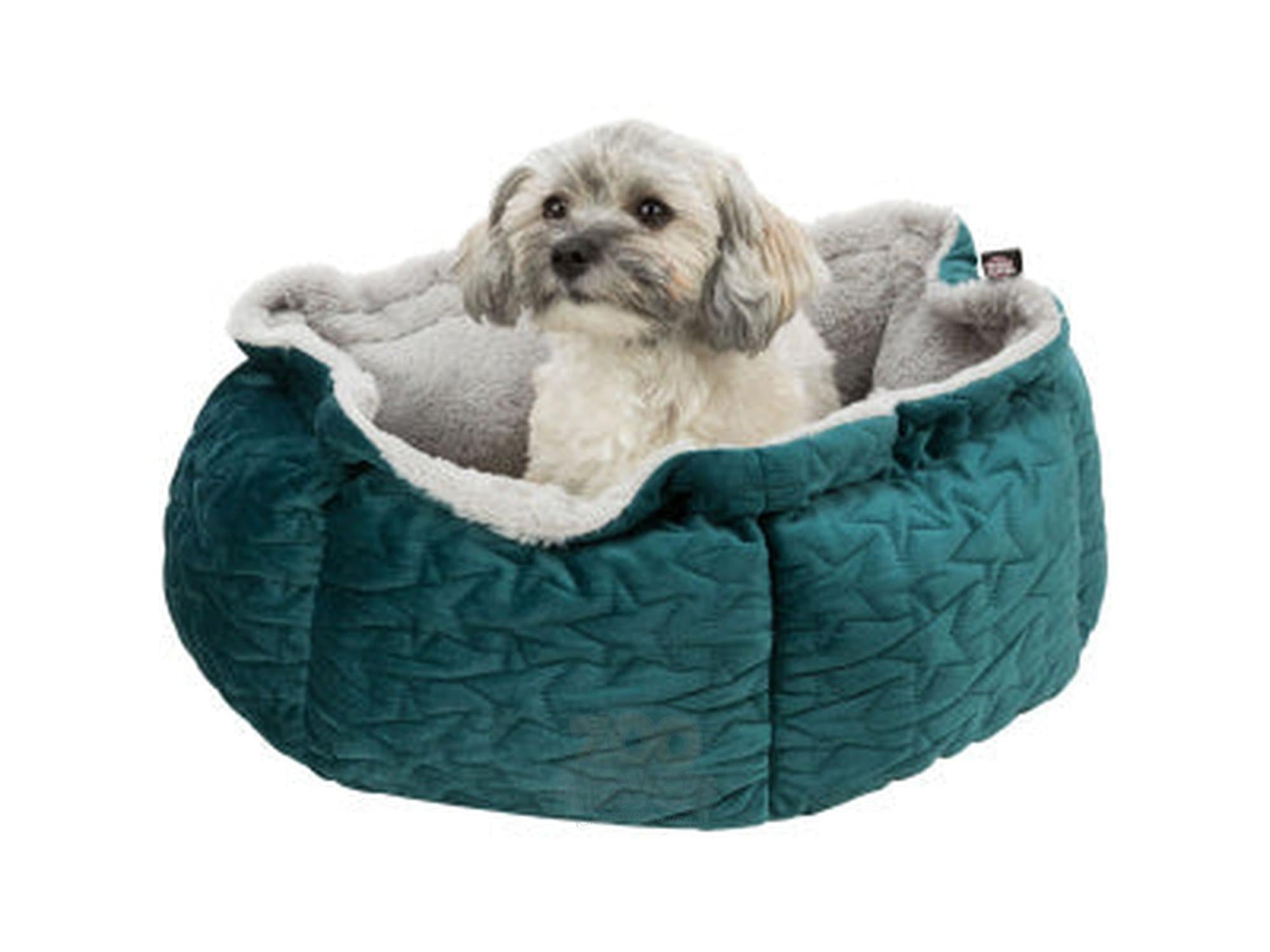 Trixie Juleseng Estelle – bilde 3