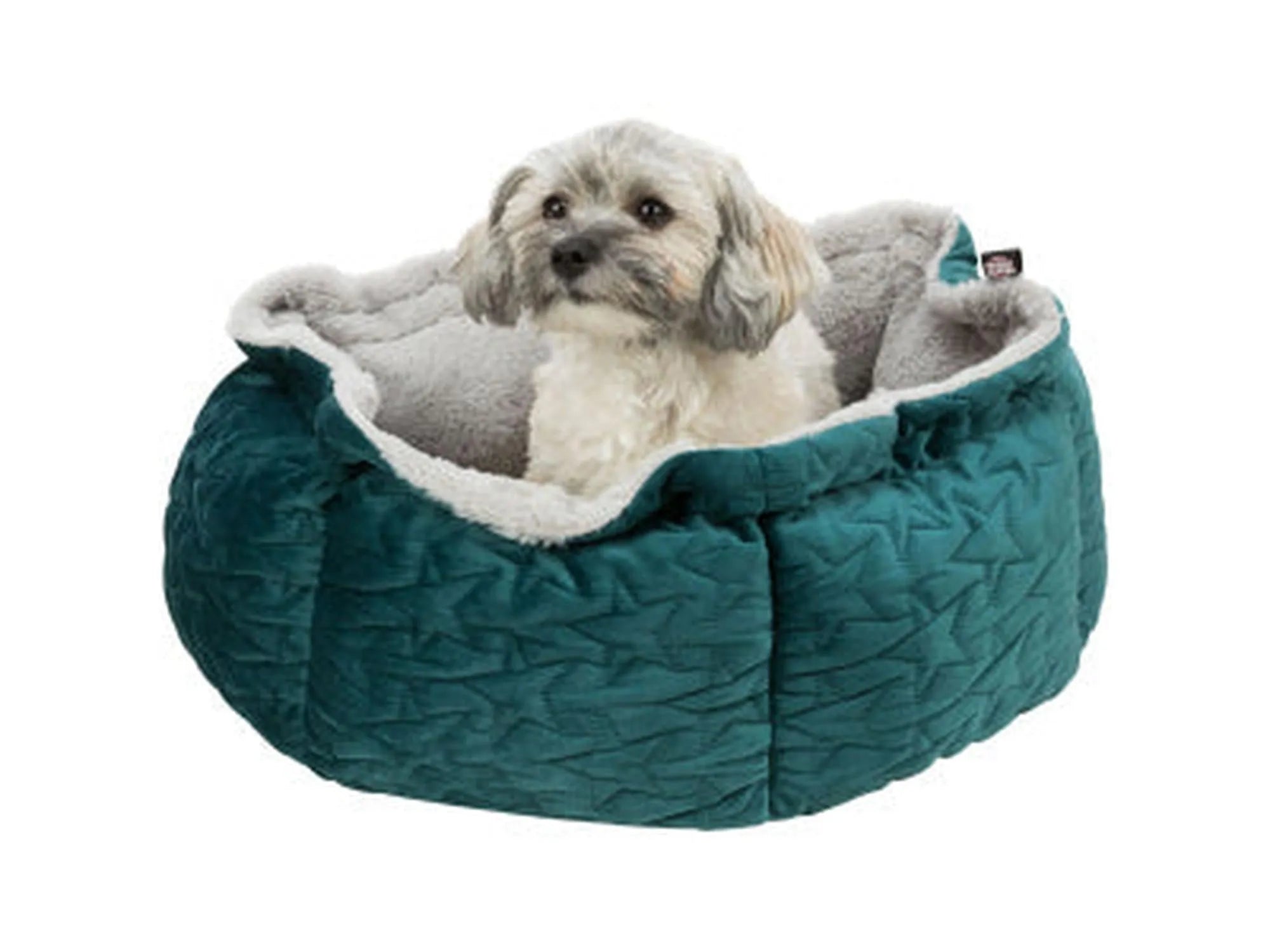 Trixie Juleseng Estelle – bilde 3