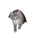 Trixie Julesovepose Estelle grønn/grå juleseng til hund og katt