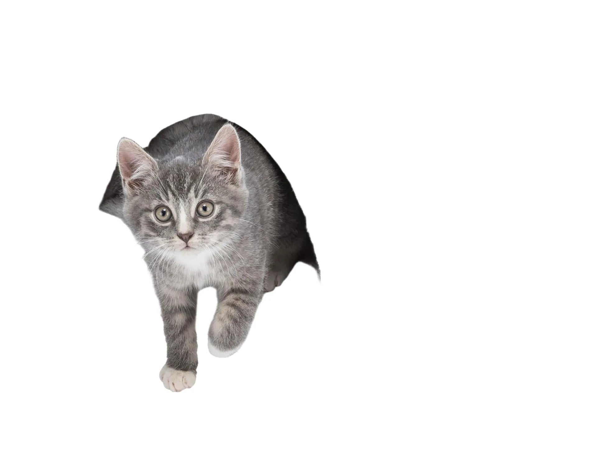 Trixie Julesovepose Estelle grønn/grå juleseng til hund og katt