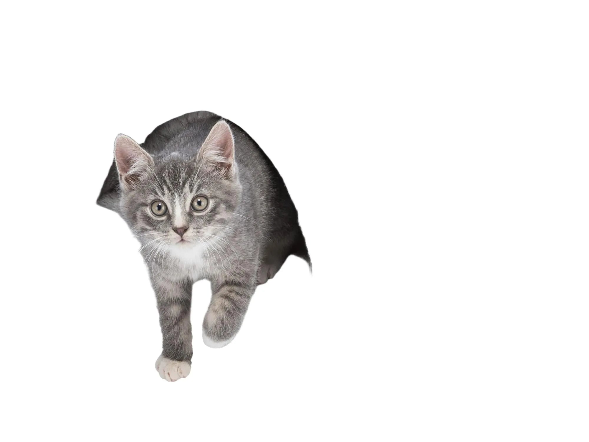 Trixie Julesovepose Estelle grønn/grå juleseng til hund og katt