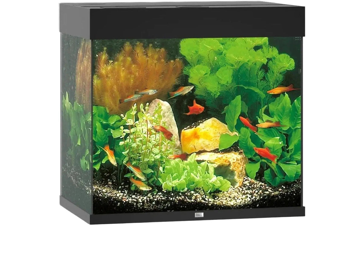 Juwel Lido 120L-200L kubisk akvarium i svart, med planter, steiner og fargerike fisker.