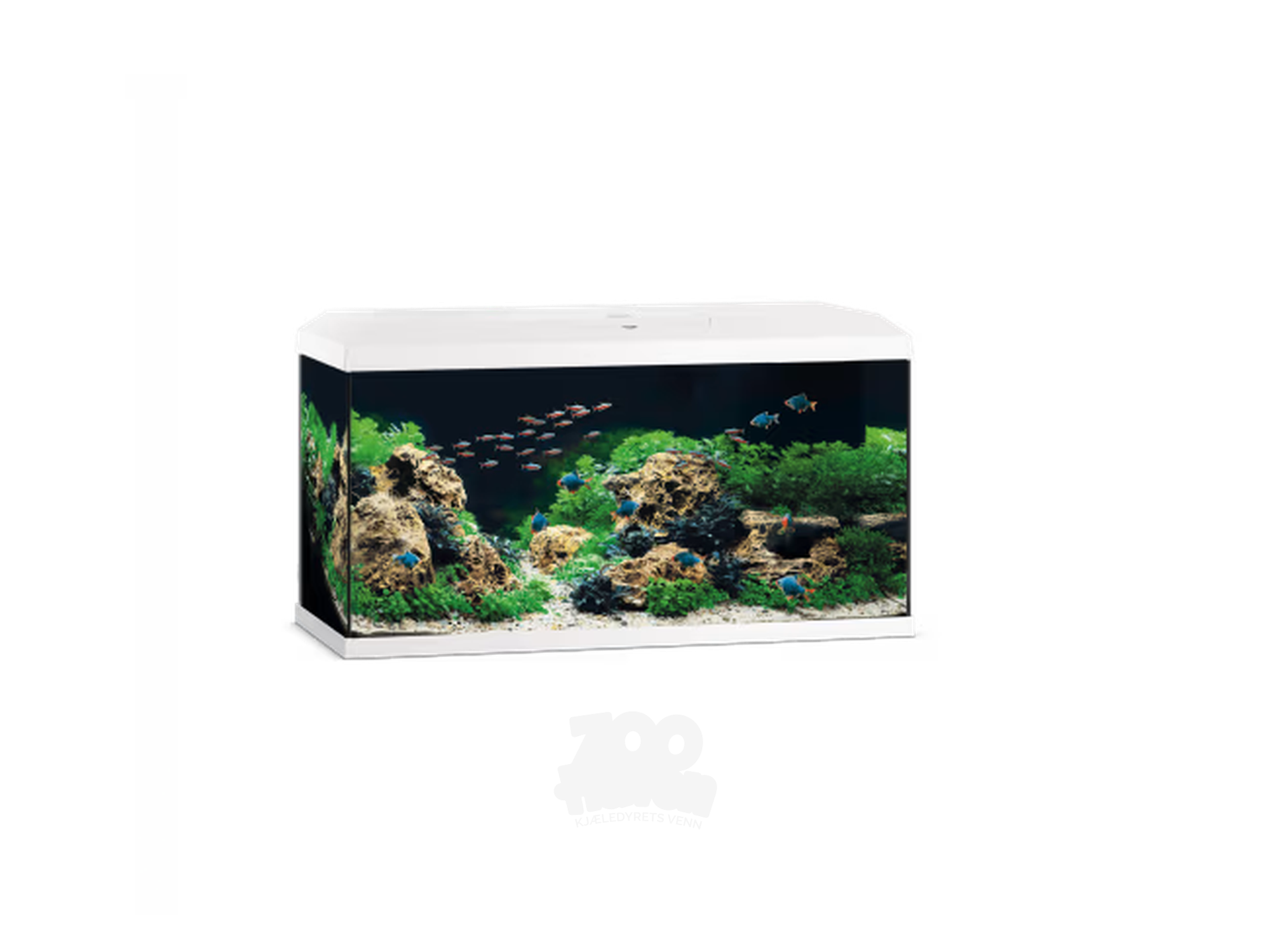 Juwel Primo 110 2.0 LED Startersett 110L