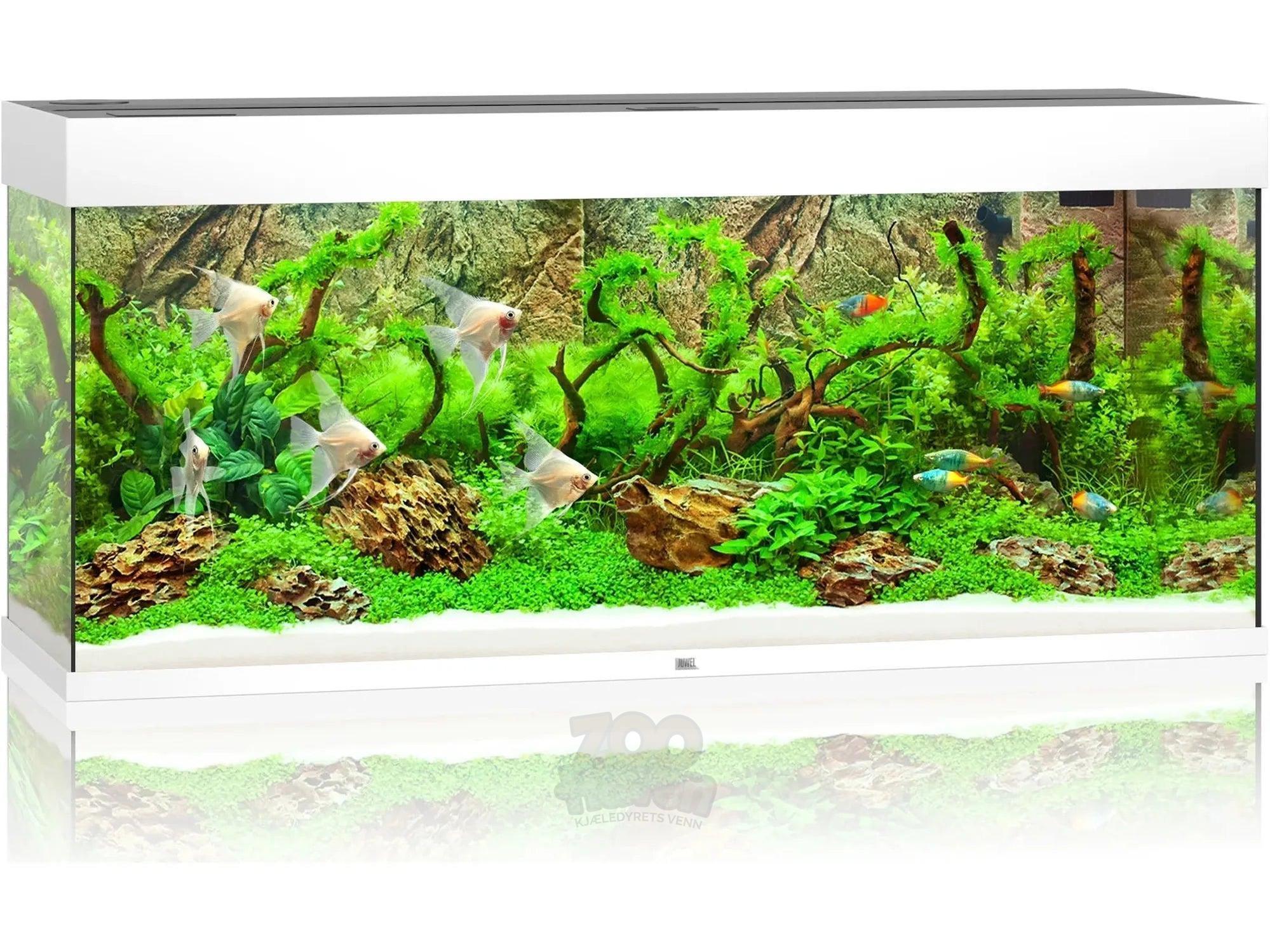 Juwel Rio Akvarium 125L - 450L