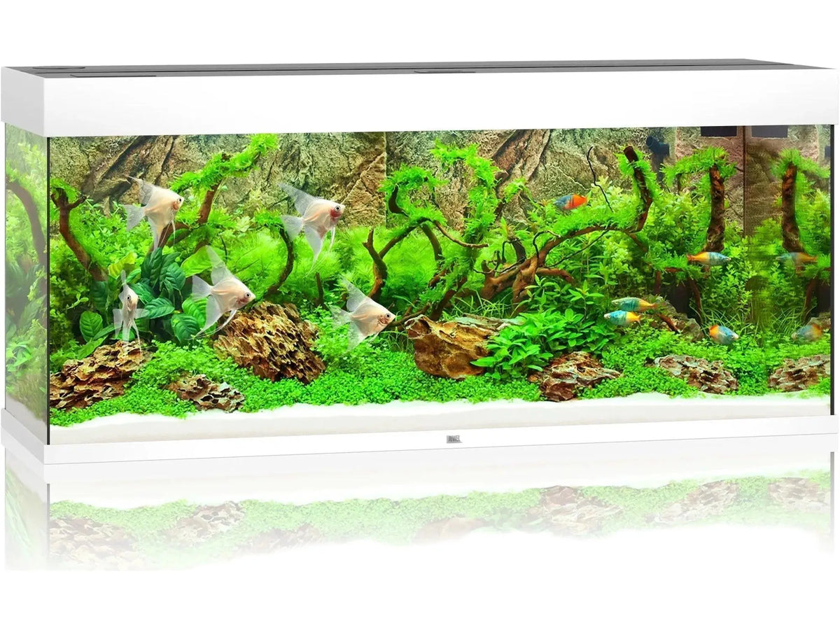 Juwel Rio akvarium i hvit med rektangulært design, fylt med fisk og grønne planter.