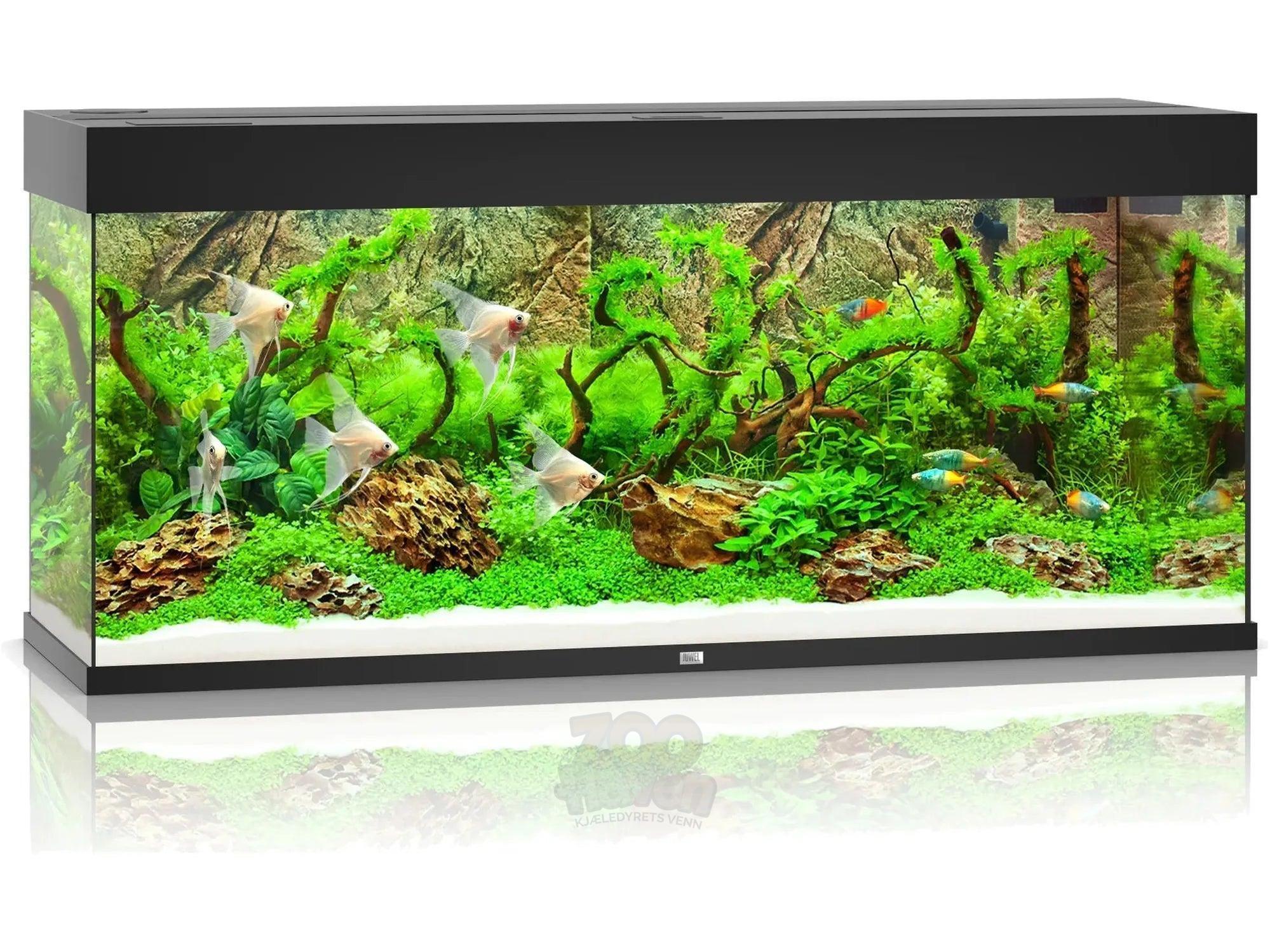 Juwel Rio Akvarium 125L - 450L