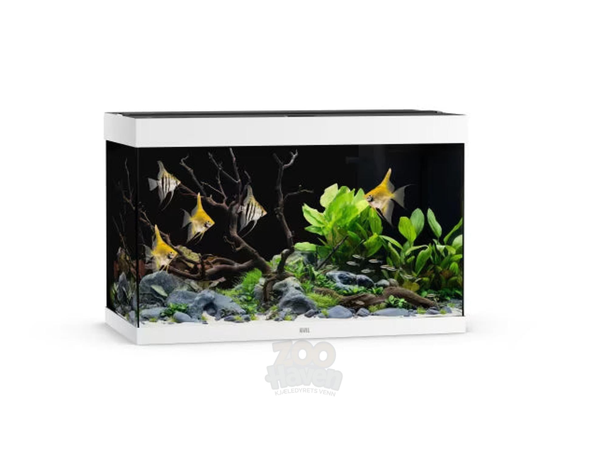 Juwel Rio Akvarium 125L - 450L