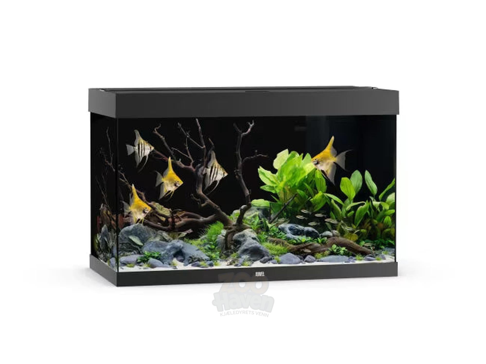 Juwel Rio Akvarium 125L - 450L