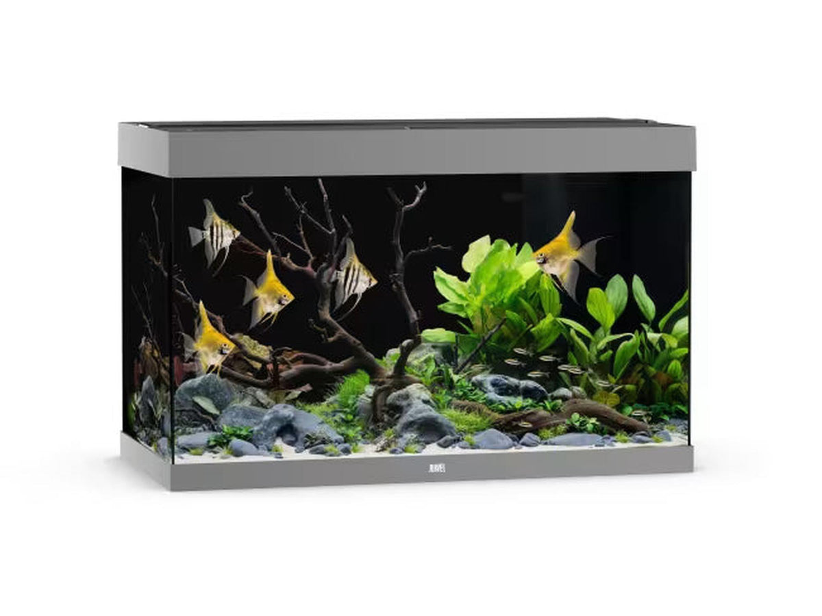 Juwel Rio akvarium i grå, rektangulært design med fisk, planter og dekor.