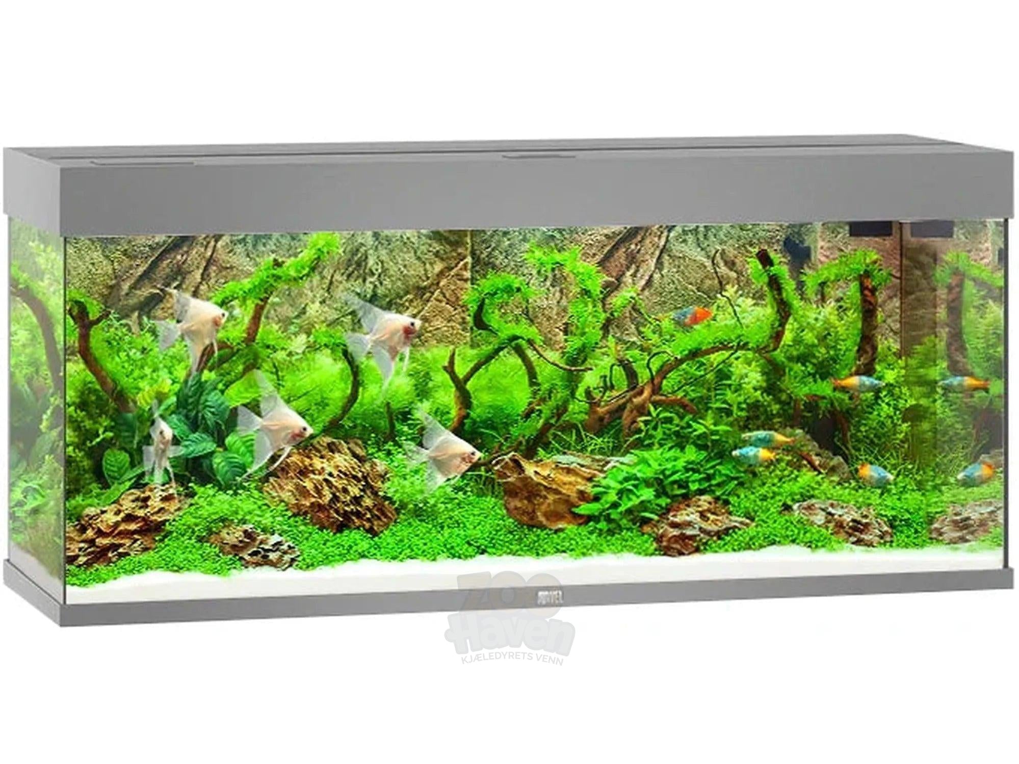 Juwel Rio Akvarium 125L - 450L