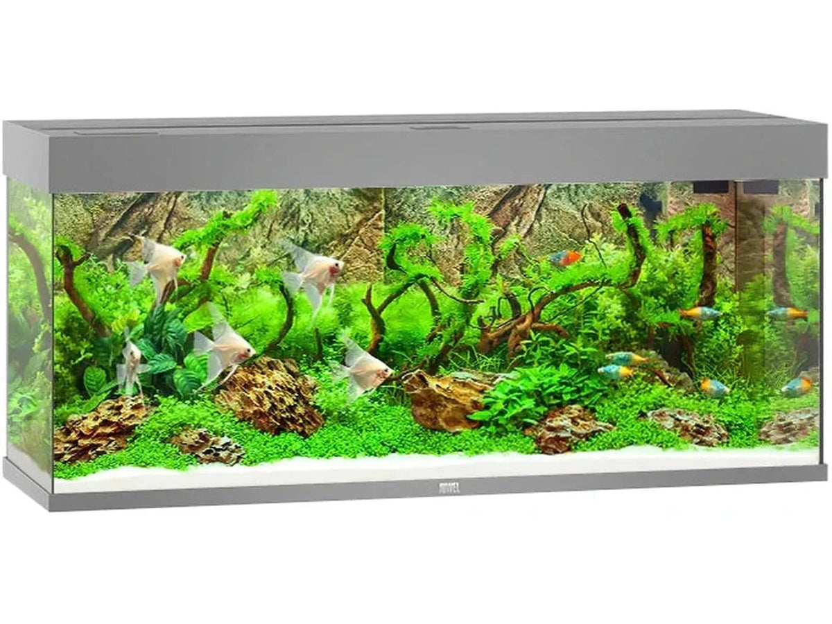 Juwel Rio akvarium i grå, rektangulært design, med planter, steiner og fargerike fisker.