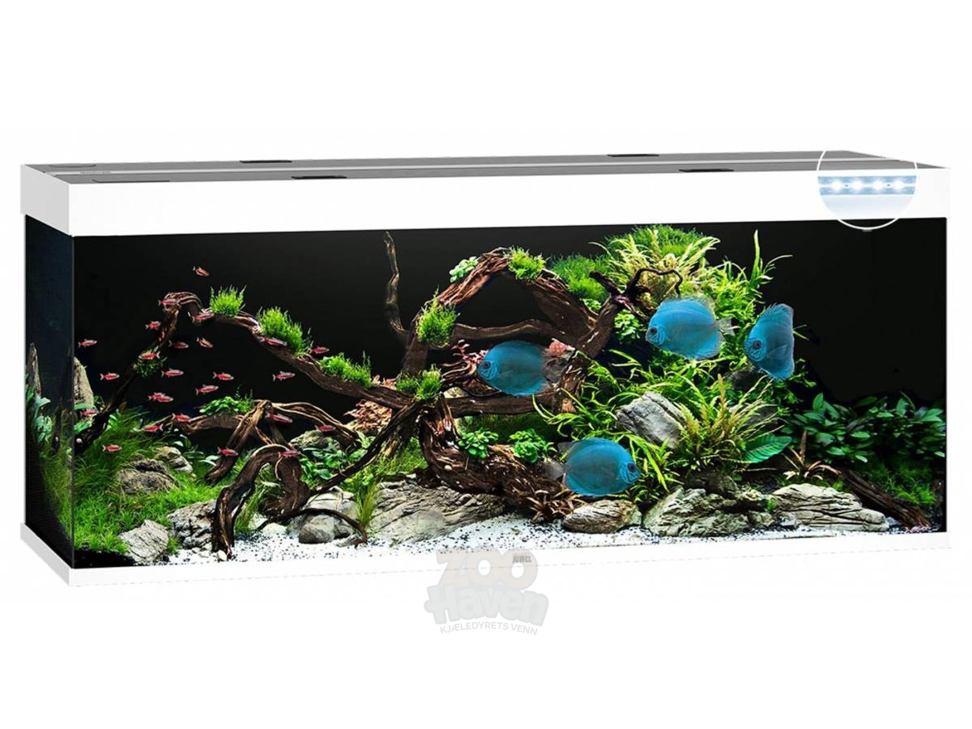 Juwel Rio Akvarium 125L - 450L