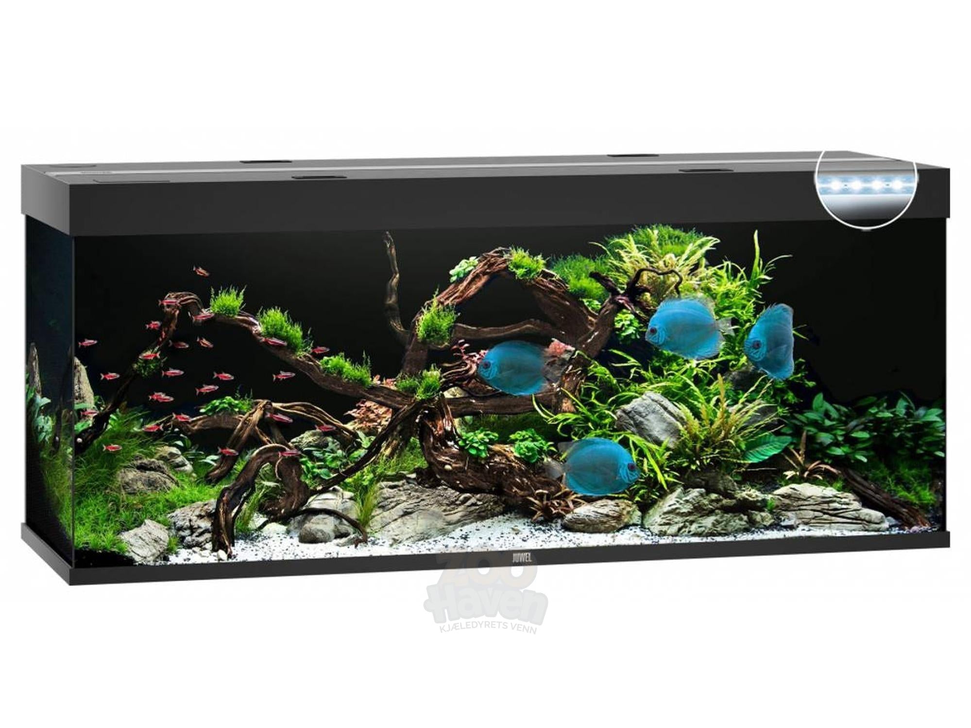 Juwel Rio Akvarium 125L - 450L