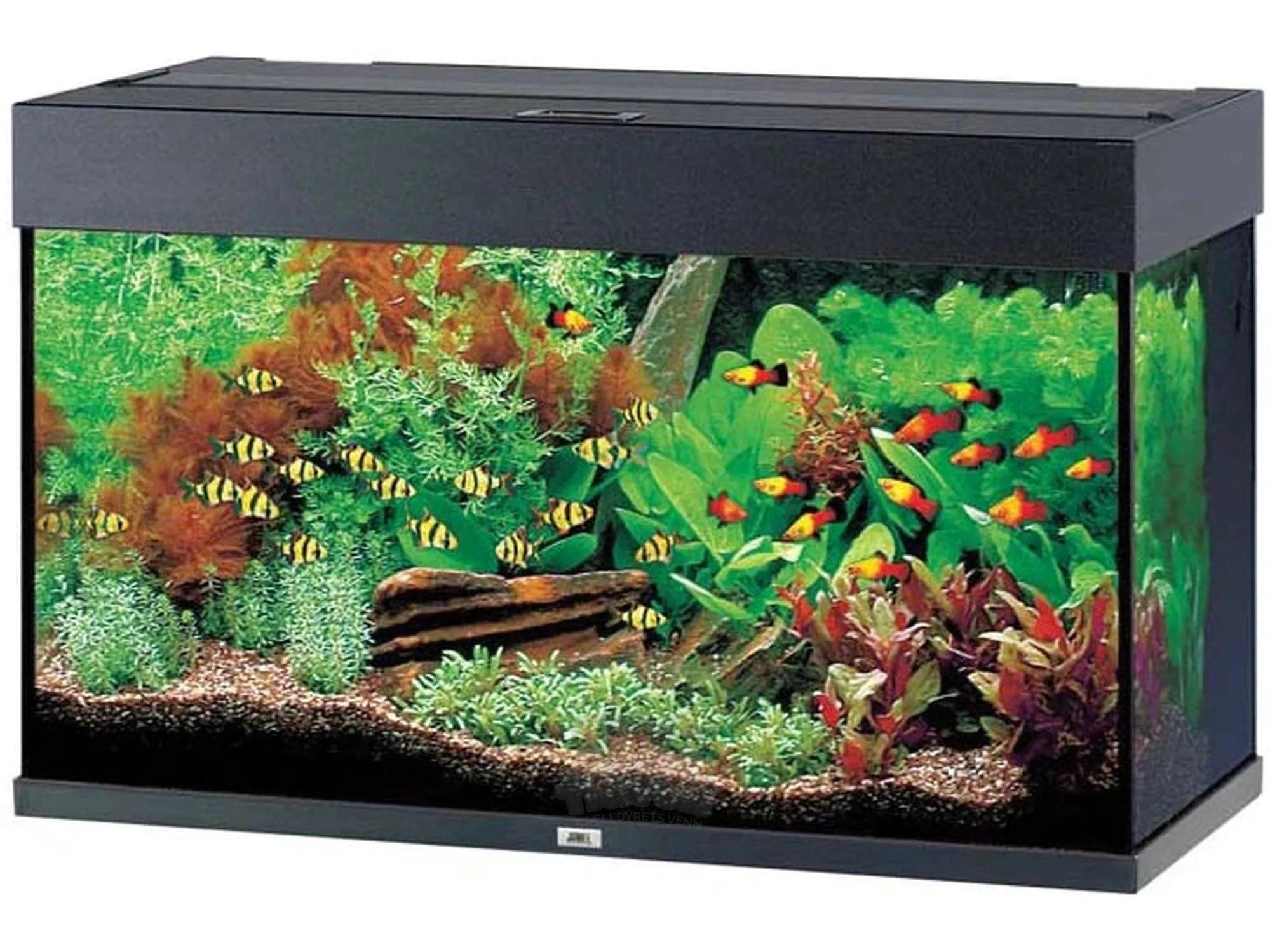 Juwel Rio Akvarium 125L - 450L