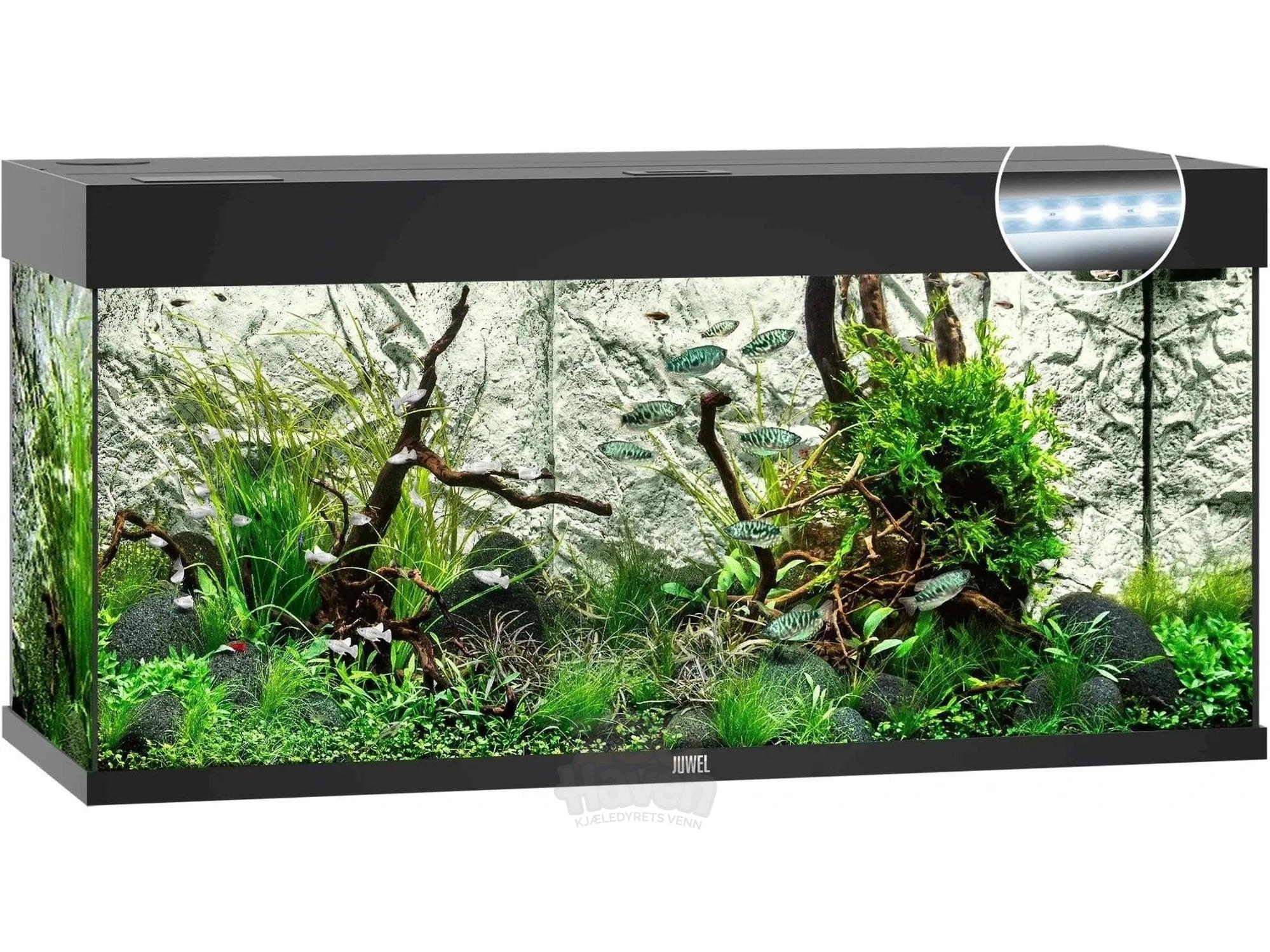 Juwel Rio Akvarium 125L - 450L