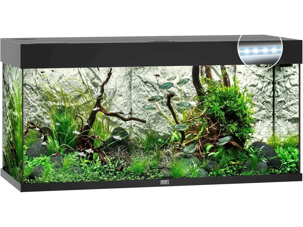 Svart Juwel Rio akvarium med LED-belysning, fisk, planter og dekor.