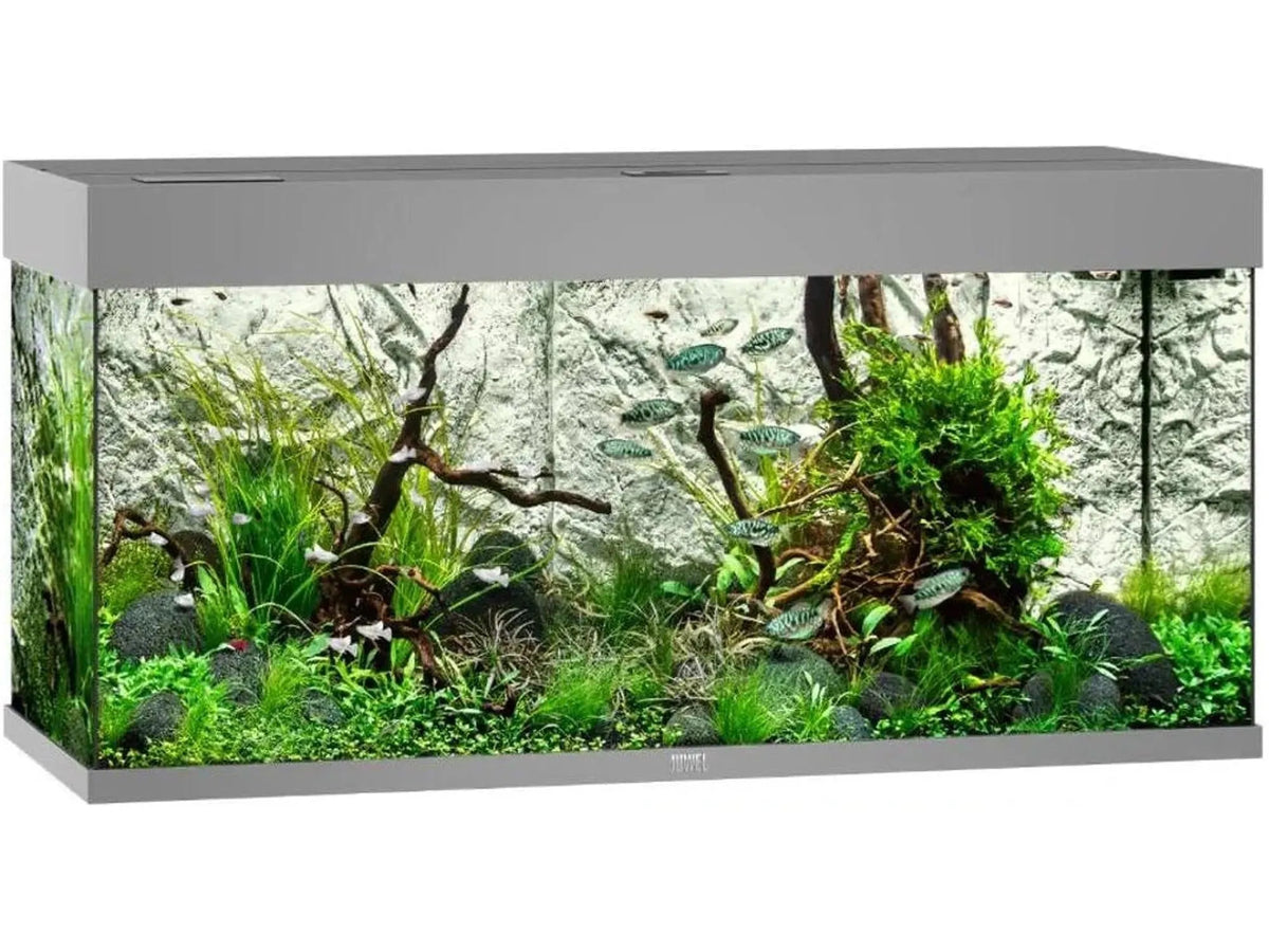 Juwel Rio akvarium i grå med planter, dekor og fisk, rektangulært design.