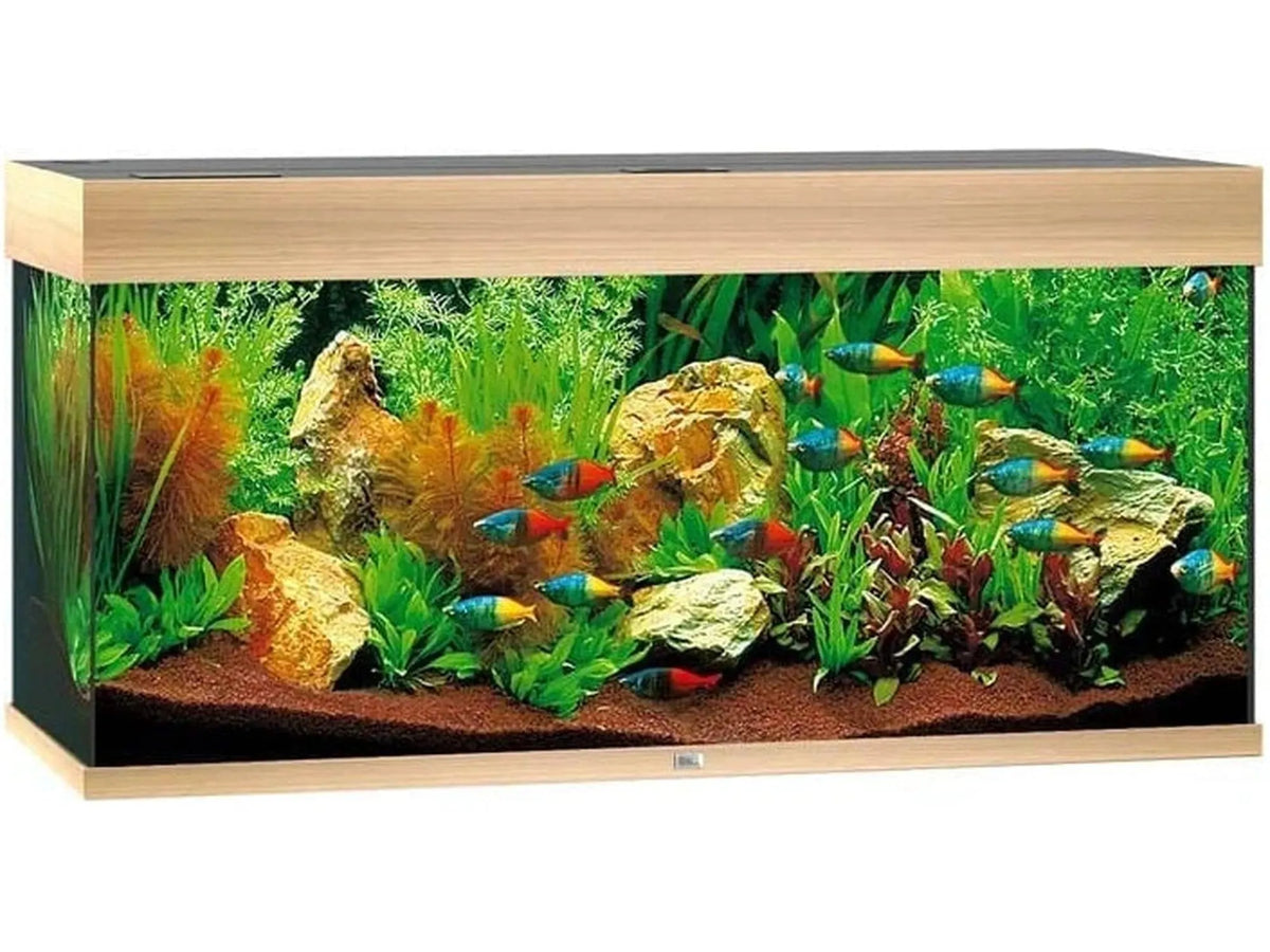 Juwel Rio akvarium i lyst treverk med fargerike fisker og frodig beplantning.