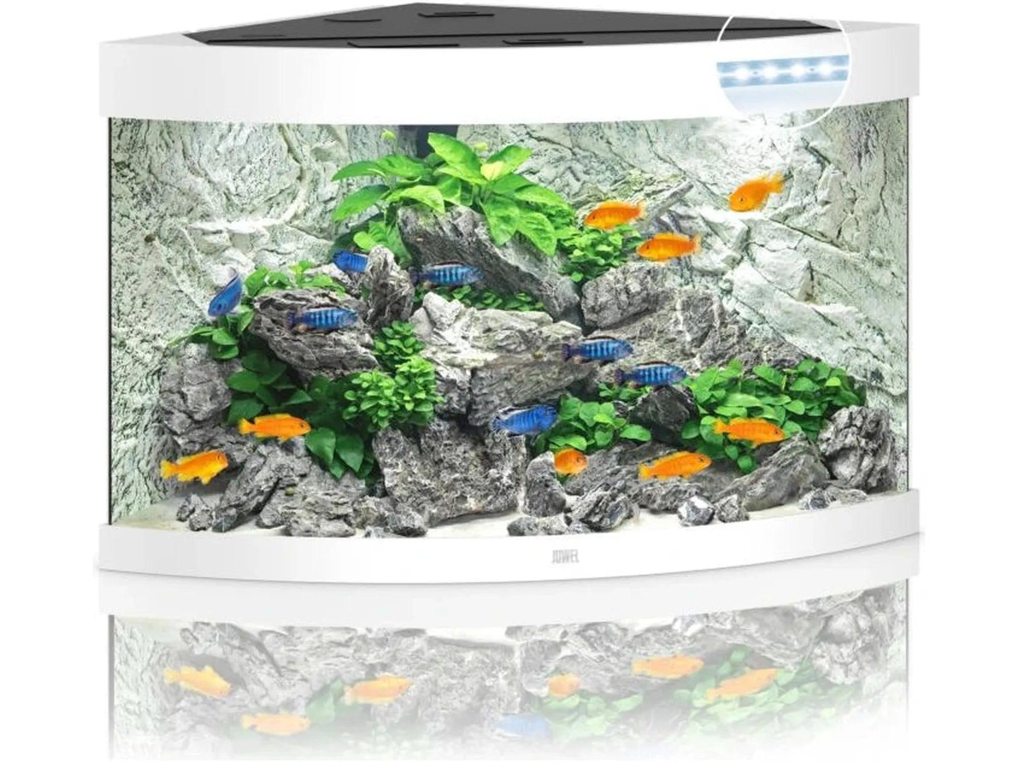 Hvit Juwel Trigon hjørneakvarium med buet front, innredet med steiner, planter og fargerike fisker.