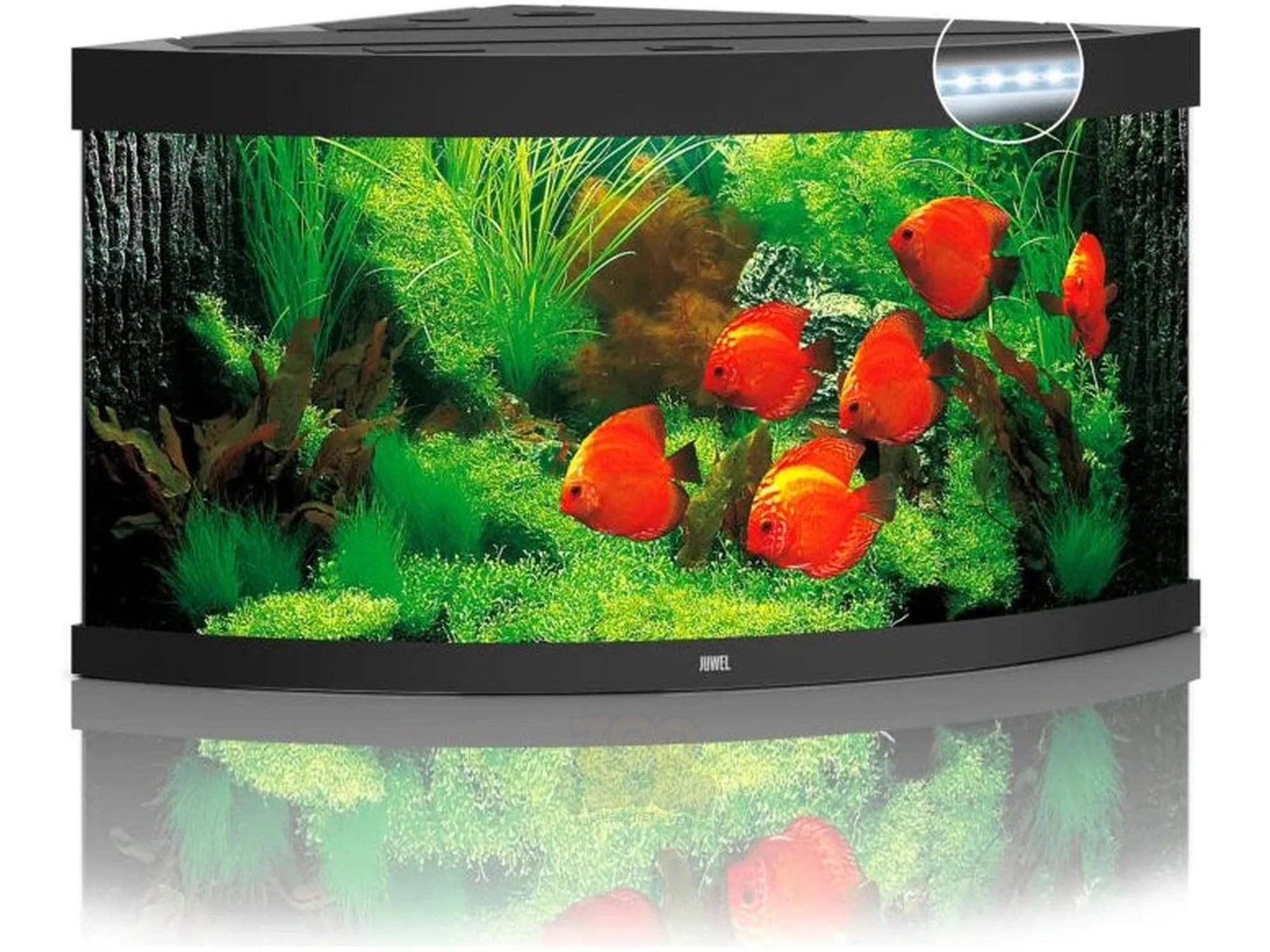 Juwel Trigon Hjørne Akvarium 190L - 350L