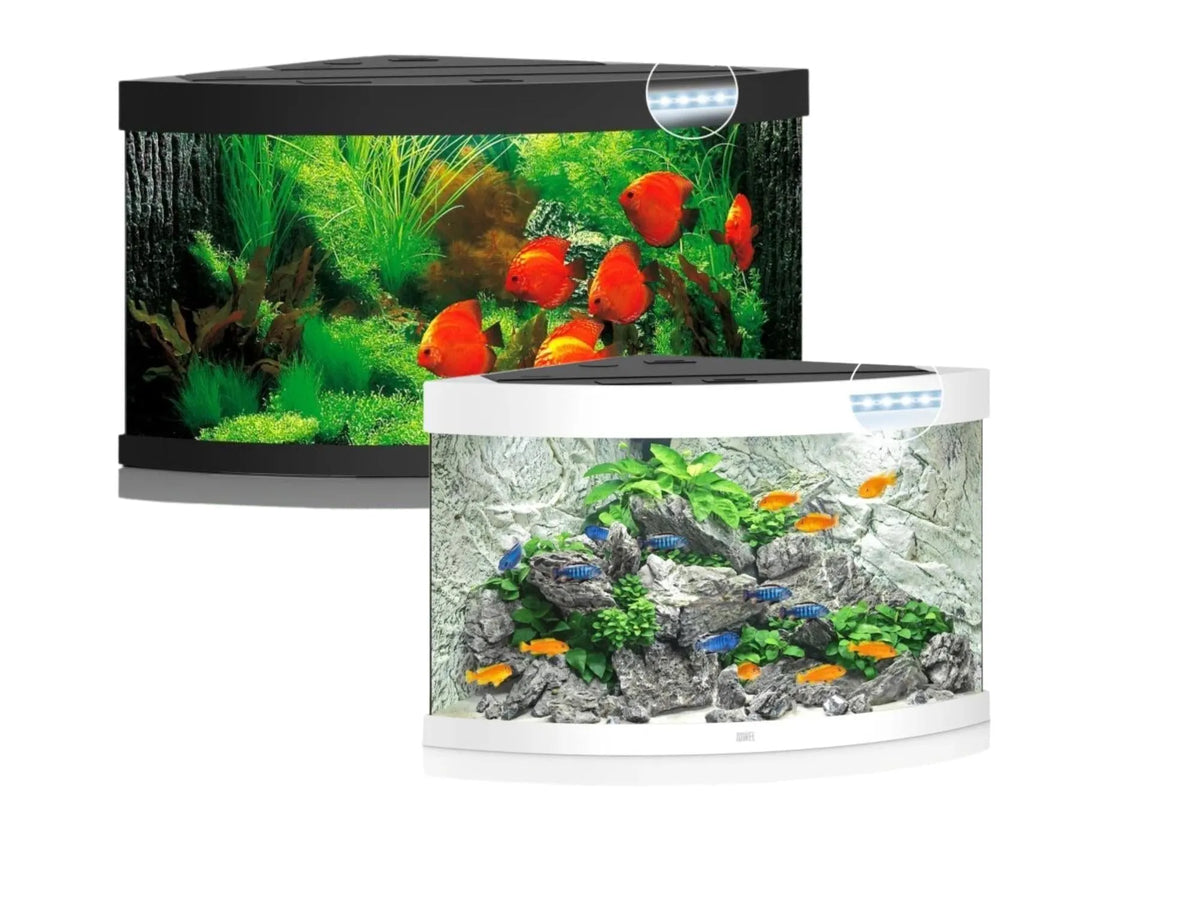 Juwel Trigon hjørneakvarium i svart og hvitt med buet front, LED-belysning og innredning.
