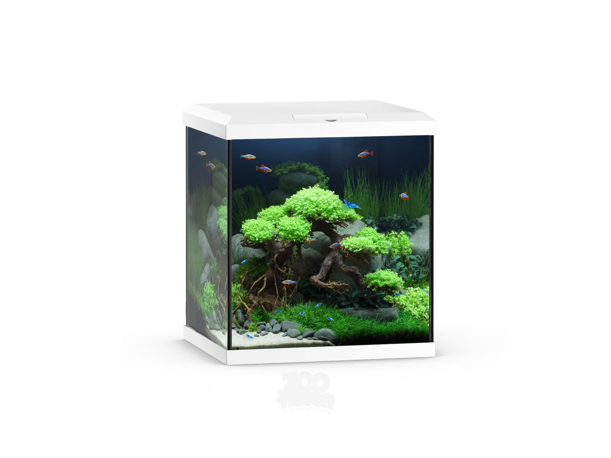Juwel Vio Cube 54 LED Lys 54L – Hvit / Sort