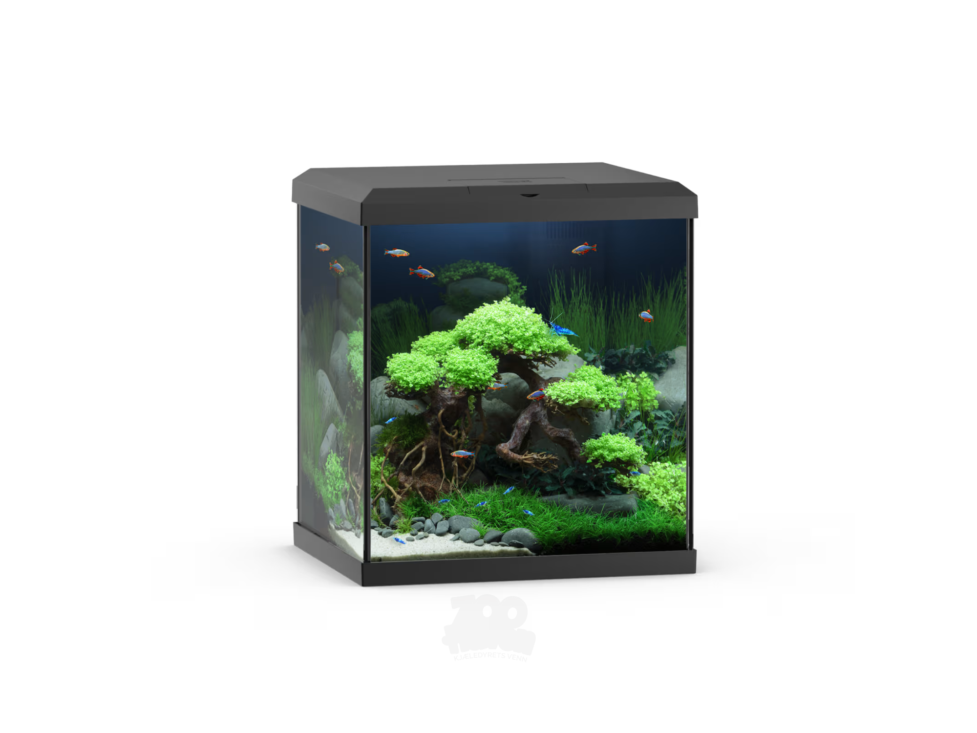 Juwel Vio Cube 54 LED Lys 54L – Hvit / Sort