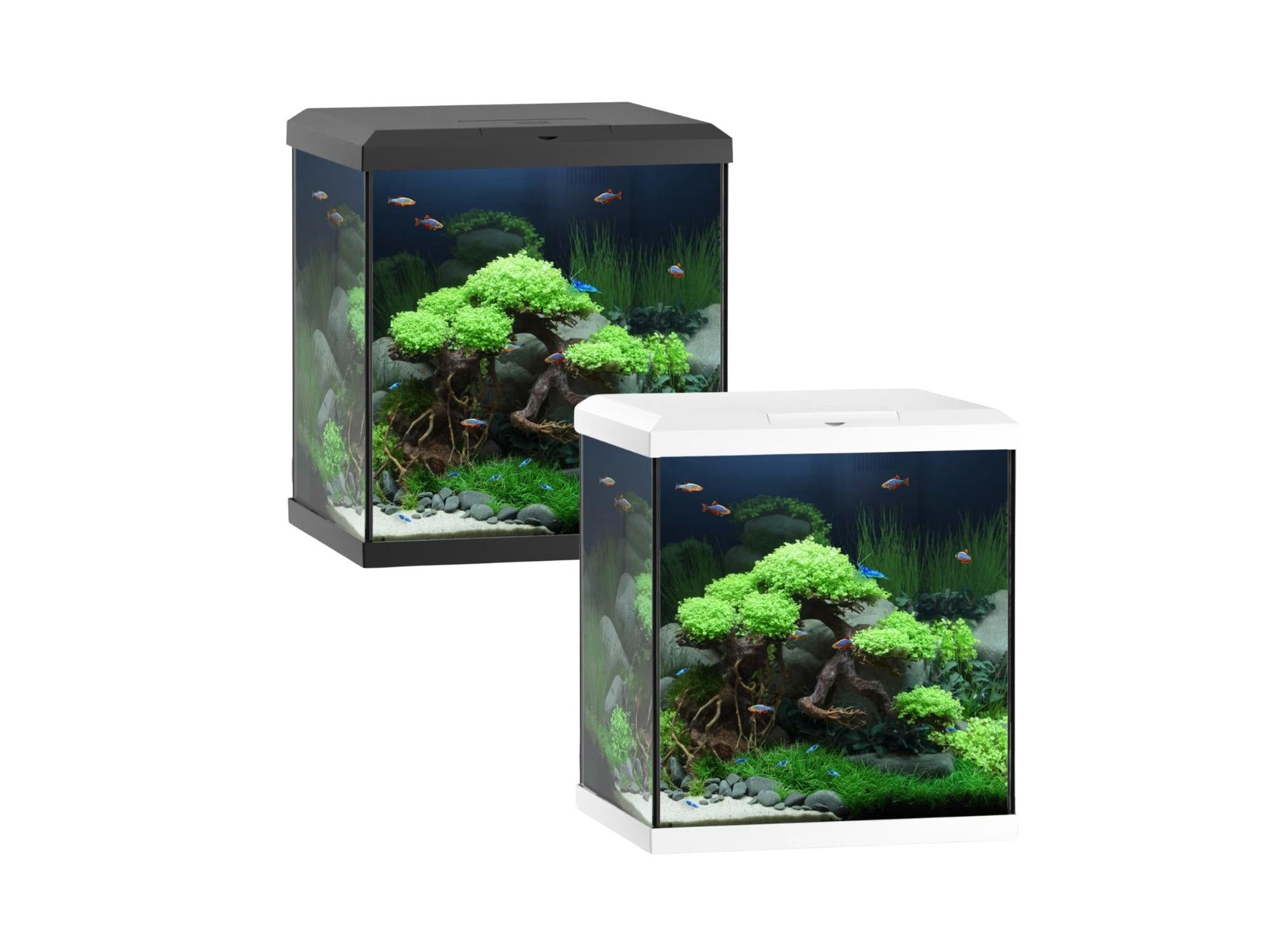 To Juwel Vio Cube 54L akvarier, ett med sort og ett med hvitt lokk, med LED-lys og innredning.