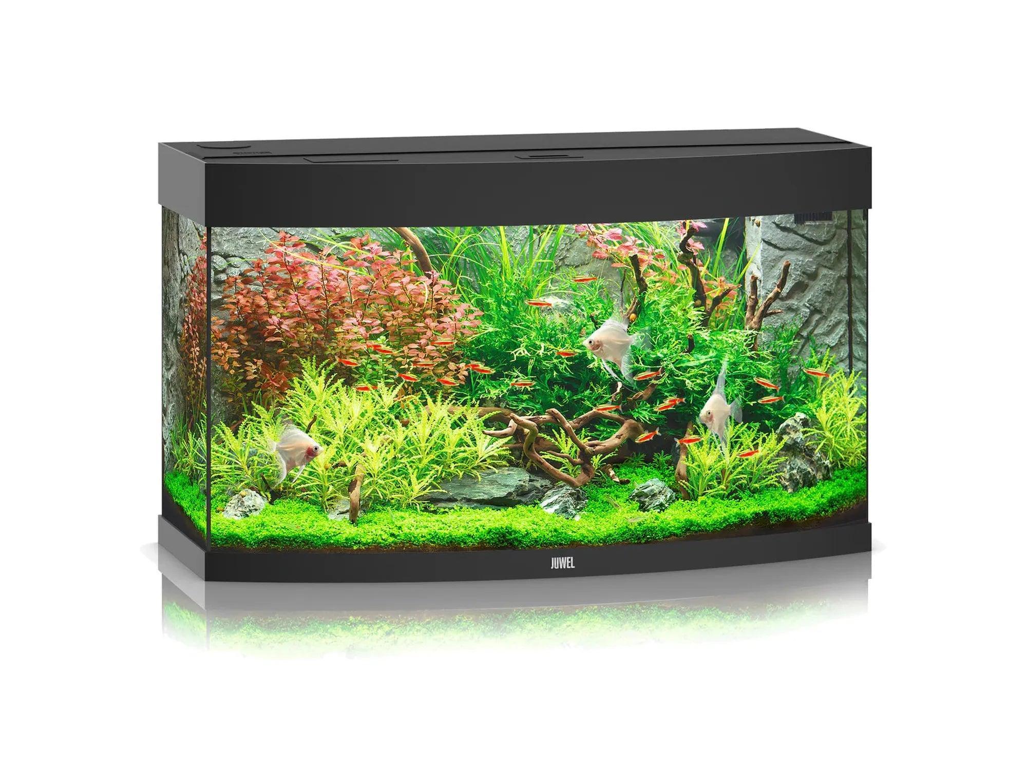 Svart Juwel Vision buet akvarium med planter og fisk.