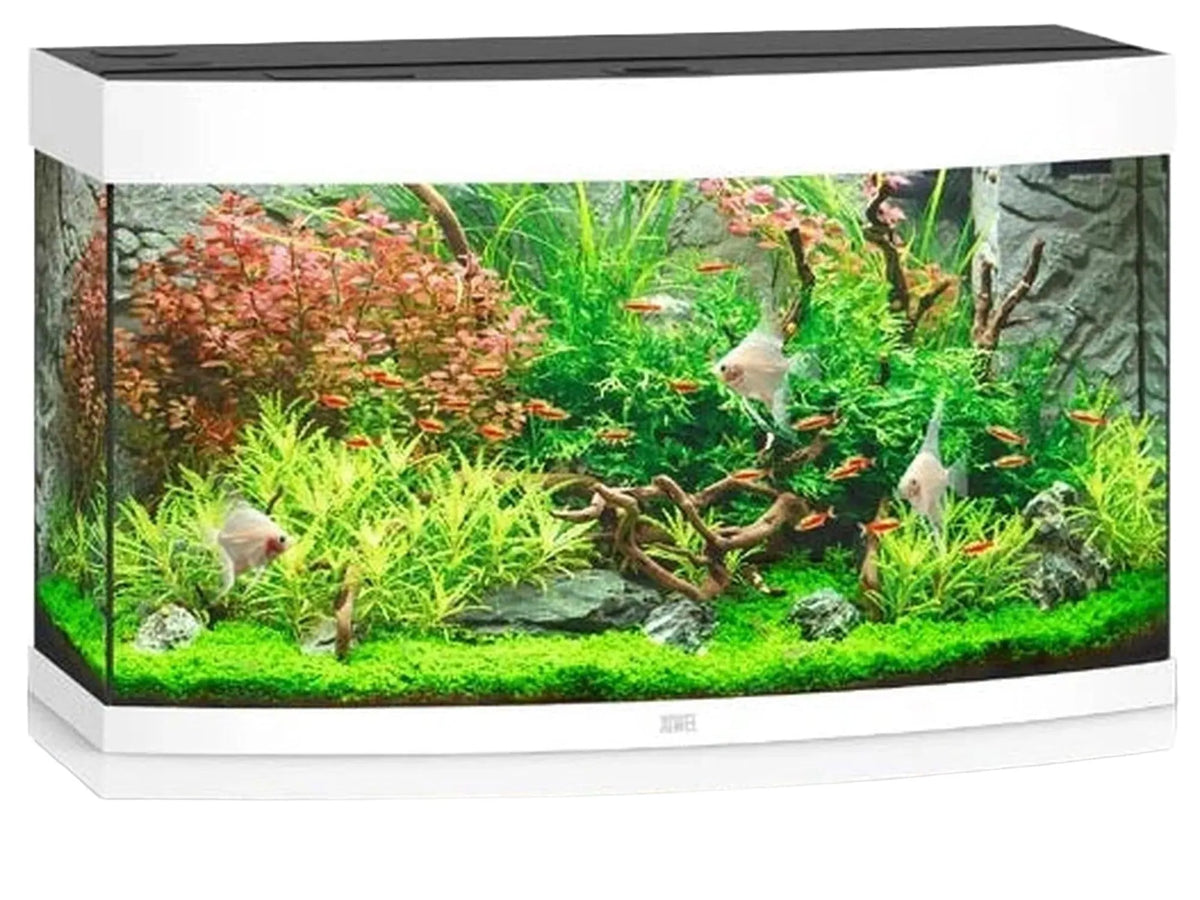 Elegant Juwel Vision buet akvarium i hvit med planter, fisk og integrert LED-belysning.