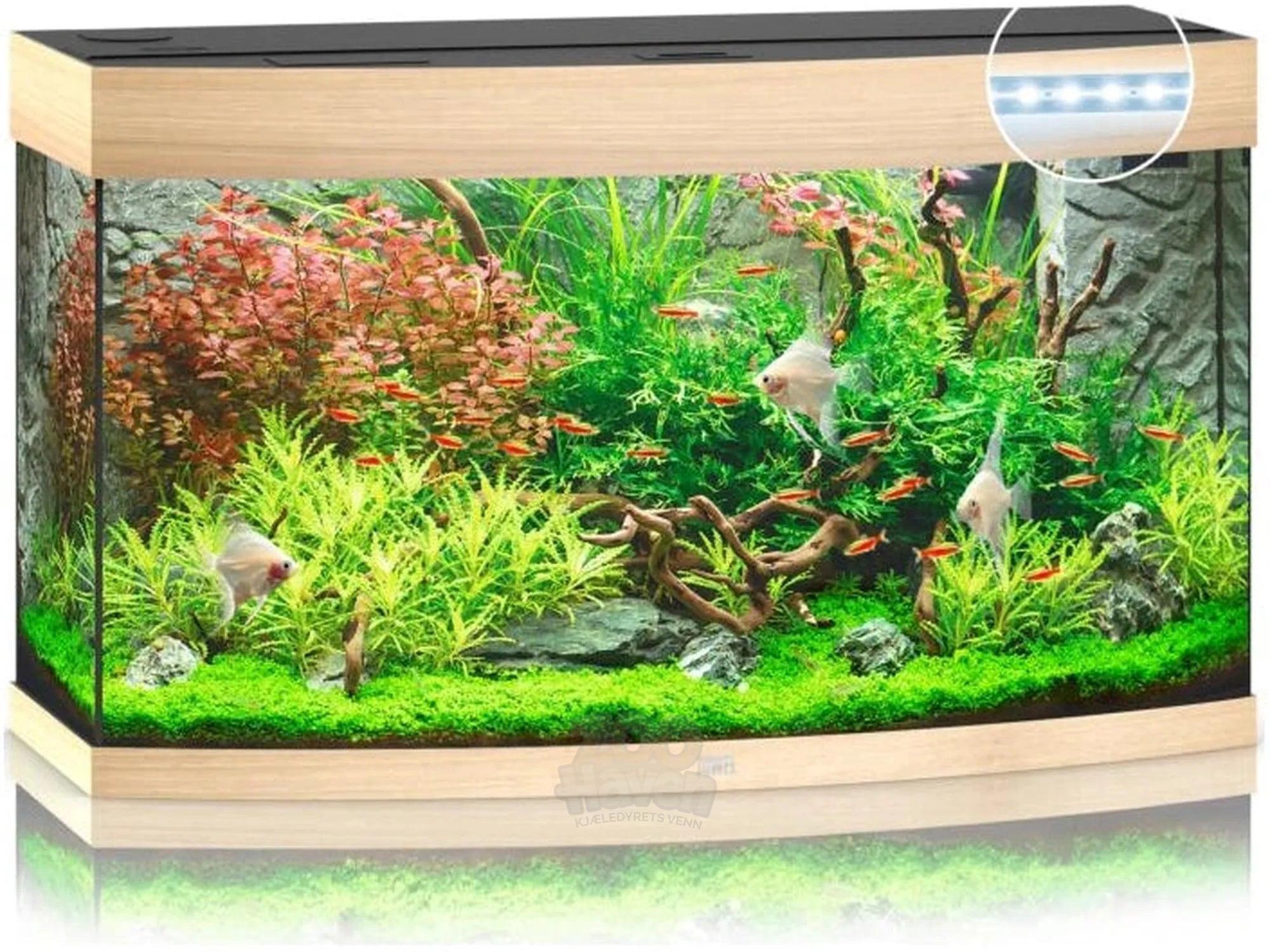 Juwel Vision Buet Akvarium