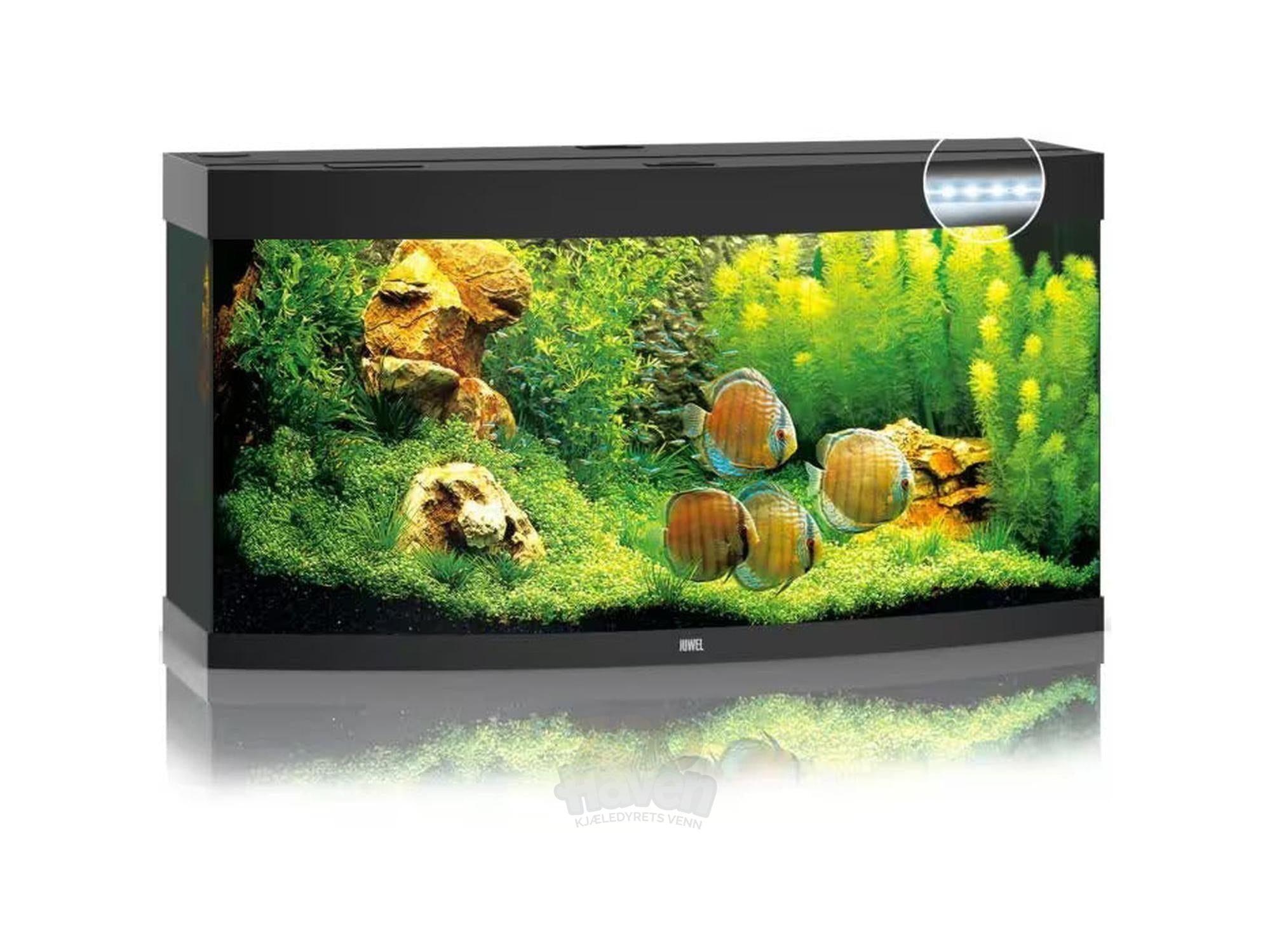 Juwel Vision Buet Akvarium