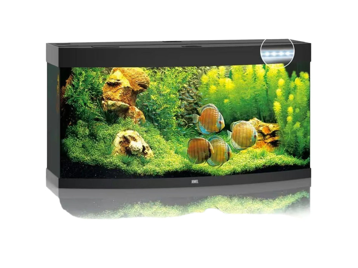 Svart Juwel Vision buet akvarium med grønne planter, steiner og fargerike diskusfisk.