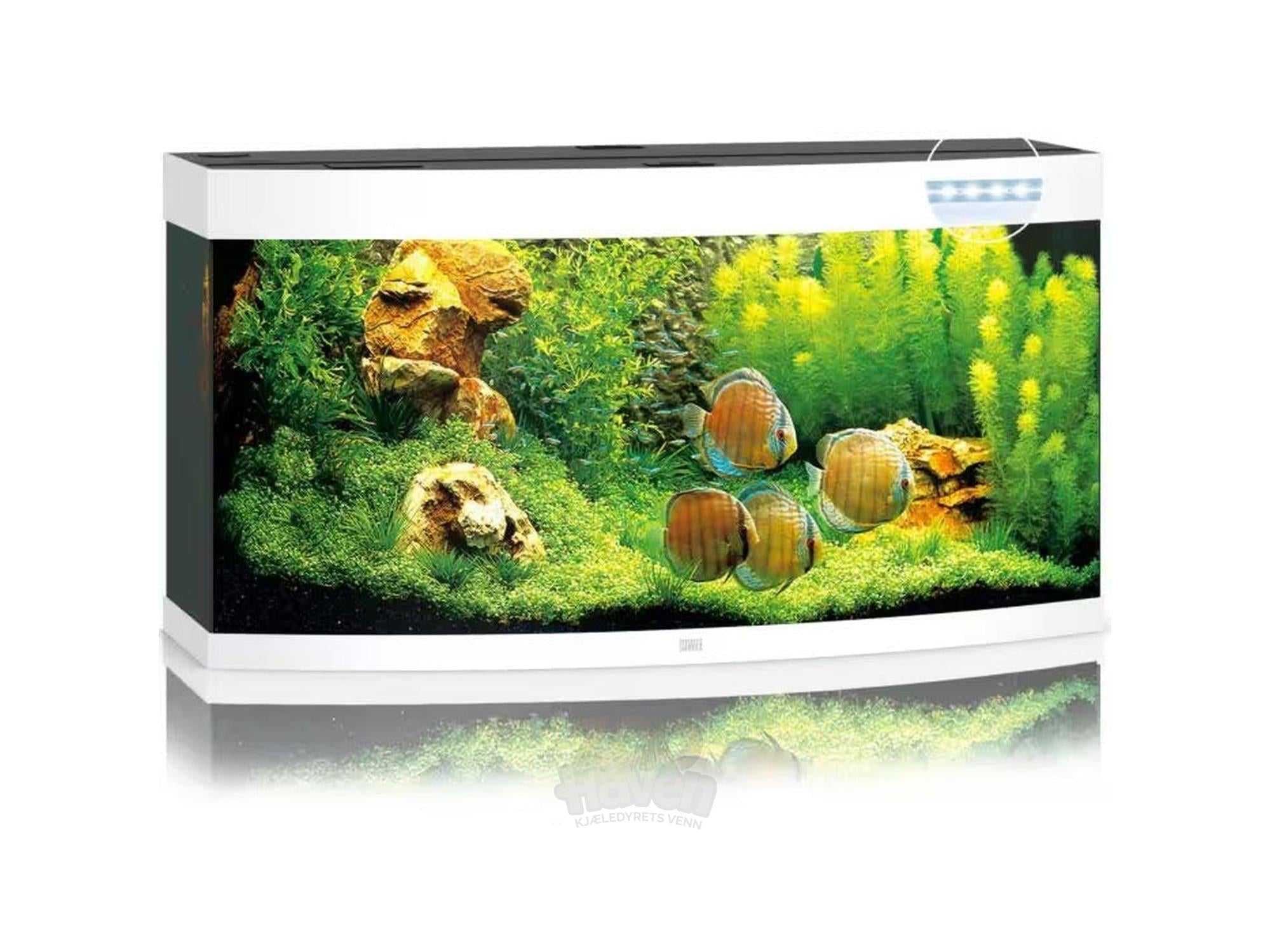 Juwel Vision Buet Akvarium