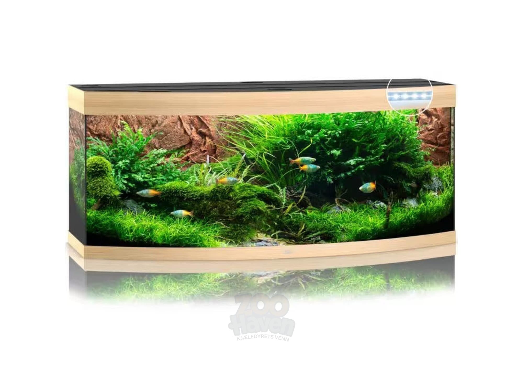 Juwel Vision Buet Akvarium