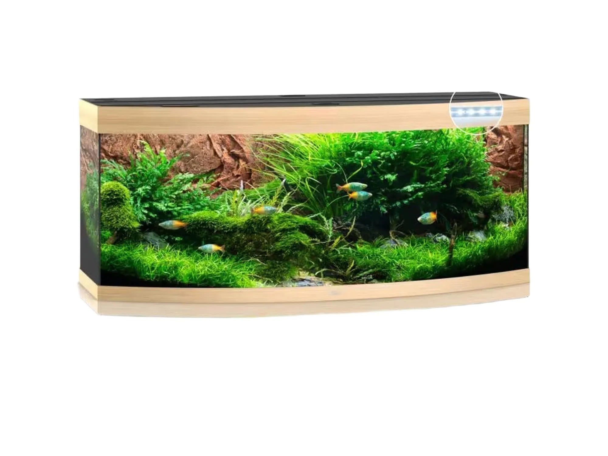 Juwel Vision buet akvarium i eik med frodig grønt landskap og fargerike fisker.