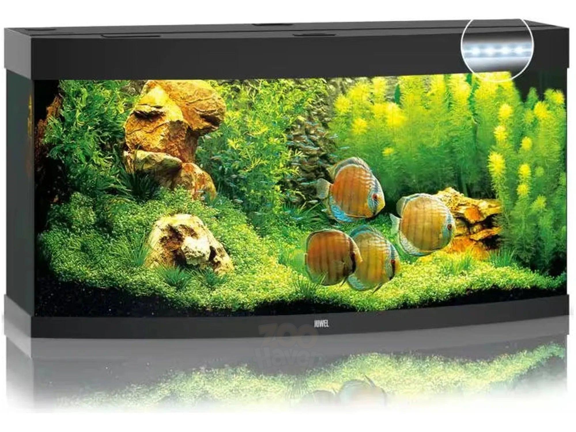 Juwel Vision Buet Akvarium