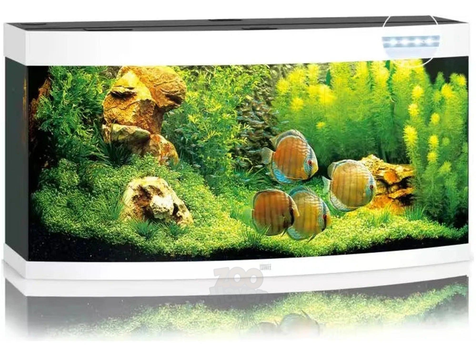 Juwel Vision Buet Akvarium
