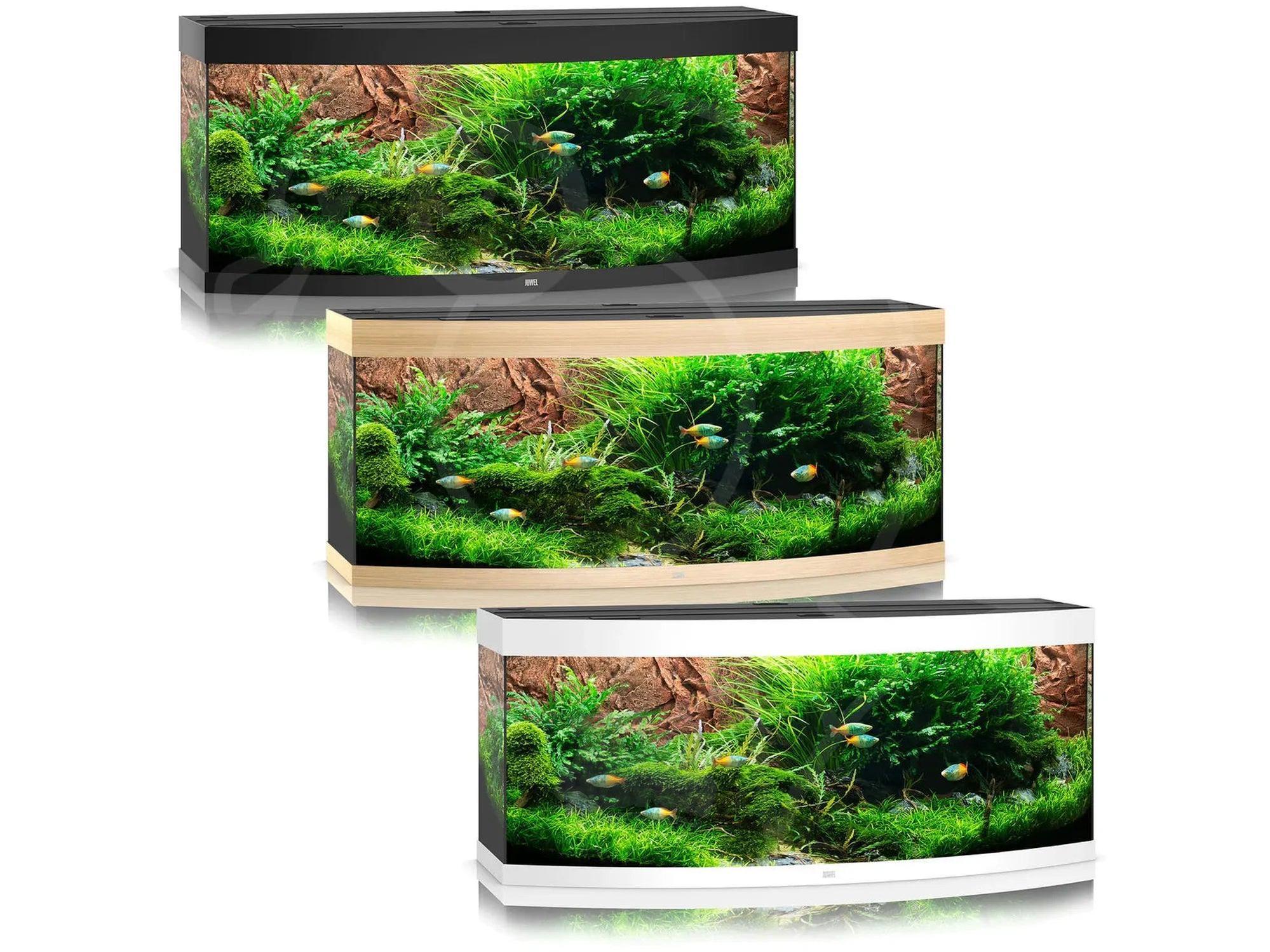 Juwel Vision Buet Akvarium