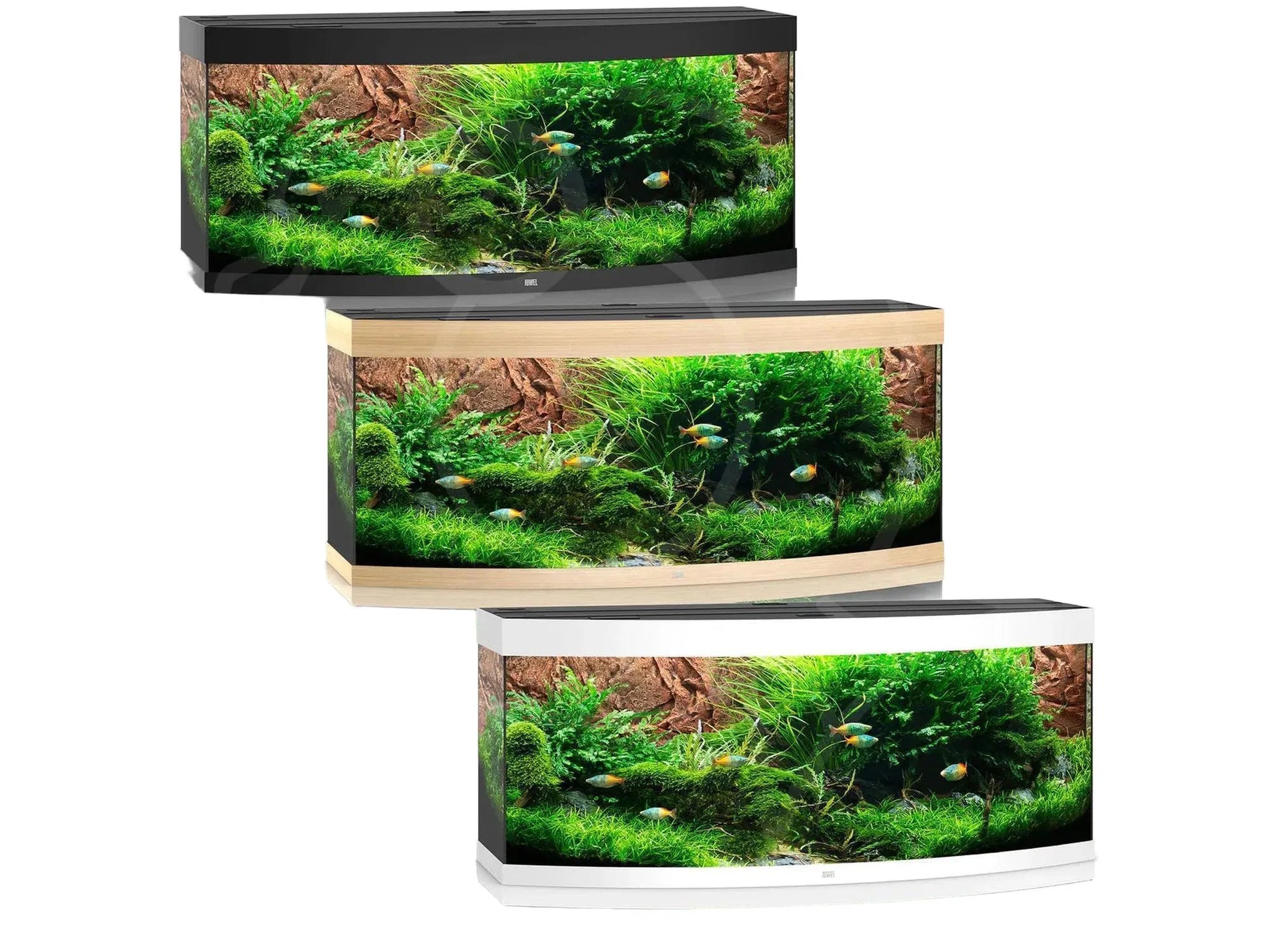 Tre Juwel Vision buede akvarier i svart, eik og hvit, fylt med grønne planter og fargerike fisker.