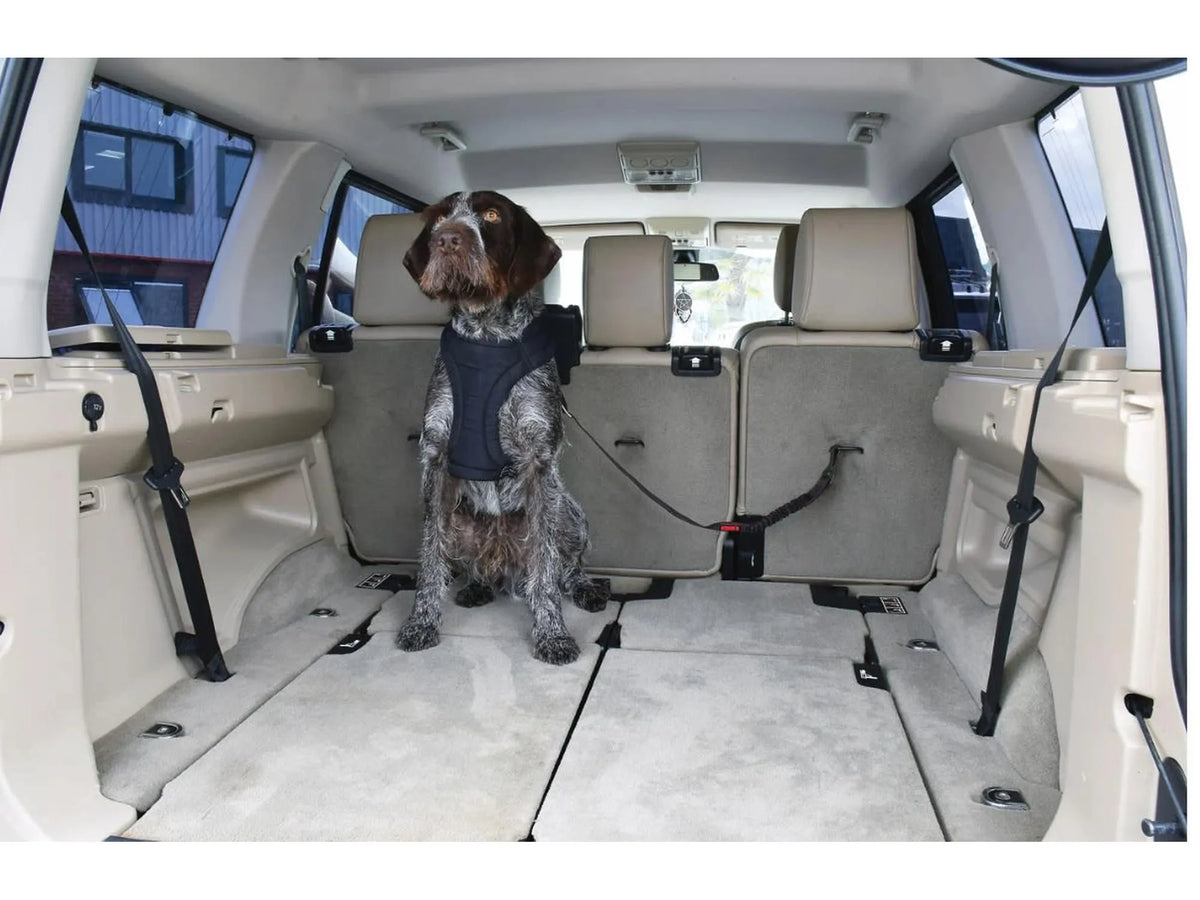 KONG Cargo Swivel Tether – sikringsline til bagasjerommet