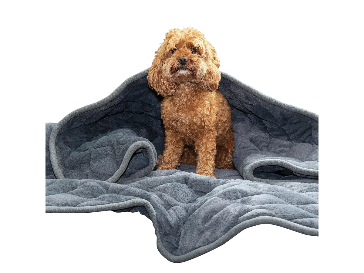 KONG Weighted Calming Blanket – Vektet Beroligende Hundeteppe 148 × 135 cm