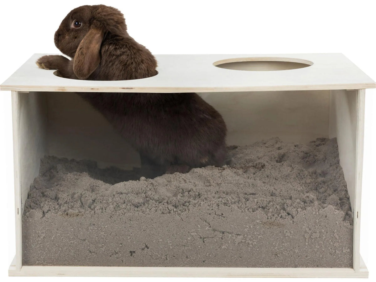 Brun kanin i en lys trehule/boks (58x38x30cm) med to innganger og sand for graving.