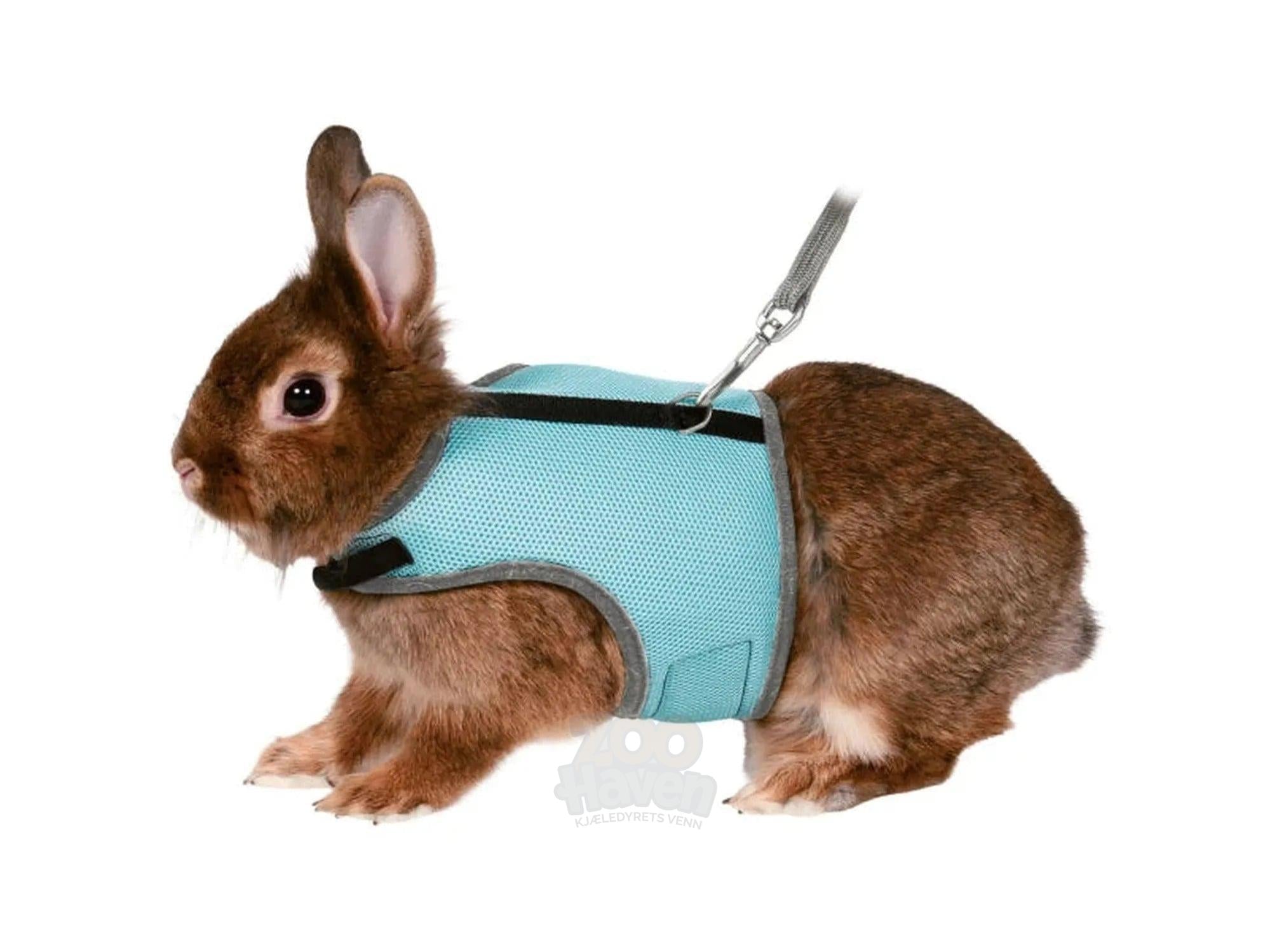 Kaninsele 61513 Soft M/Borrelås