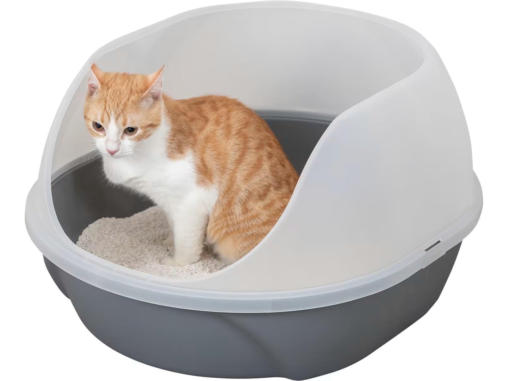 Grå Simao kattebakke med høy, hvit kant og en oransje-hvit katt inni.