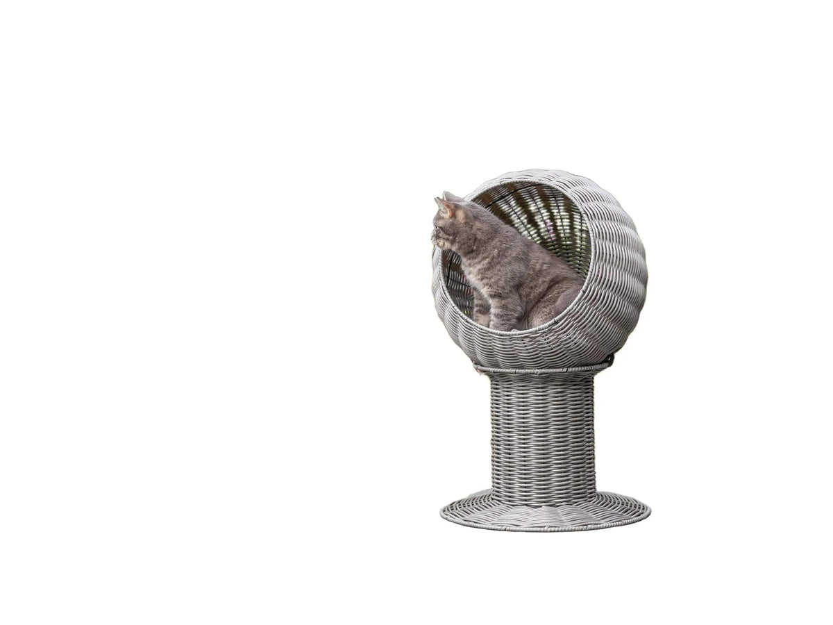 Grå polyrattan kattehule utemøbel med en grå katt inni, plassert i en hage.