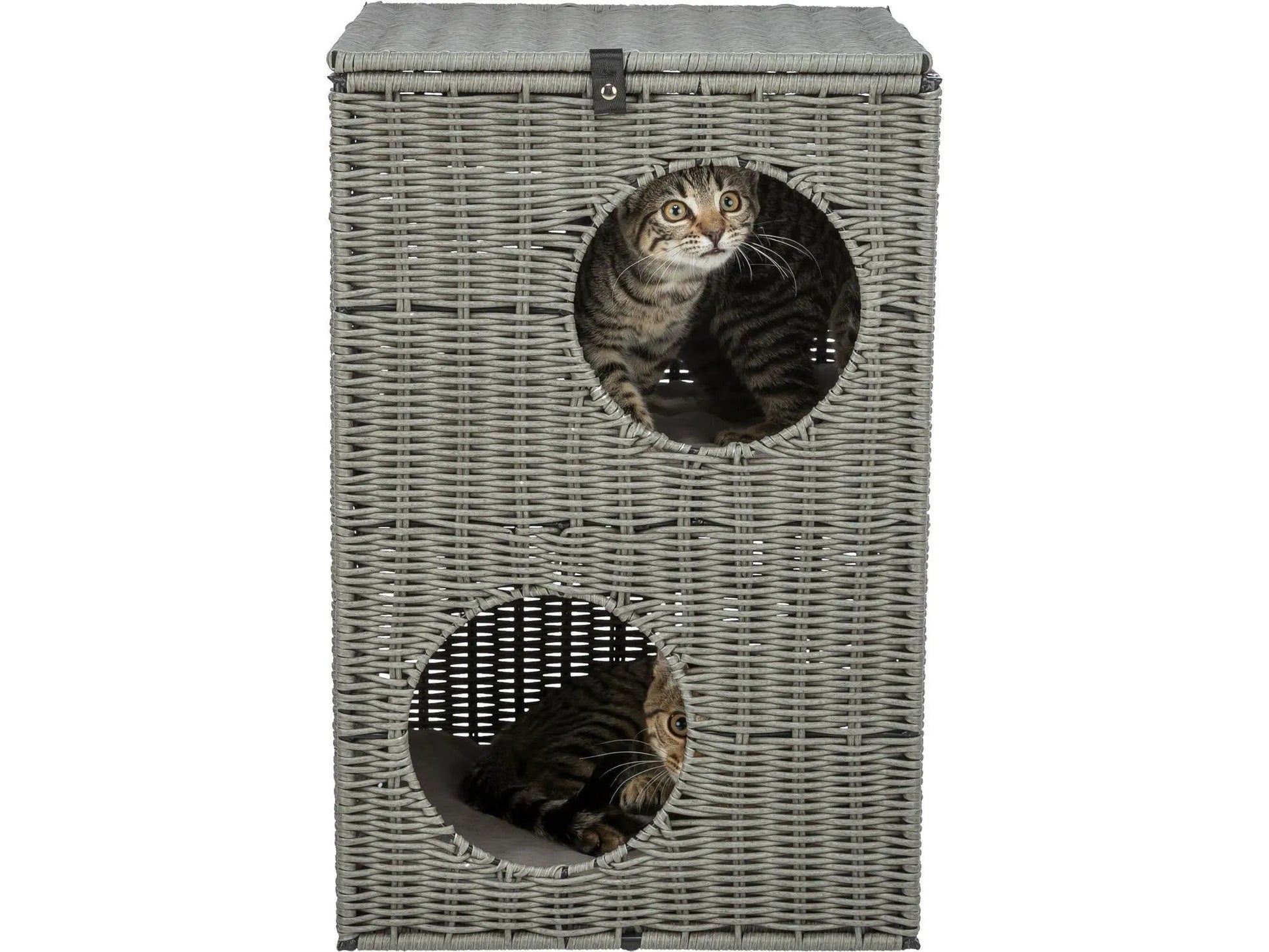 Grå polyrattan kattemøbel med to etasjer, to katter og myke puter.