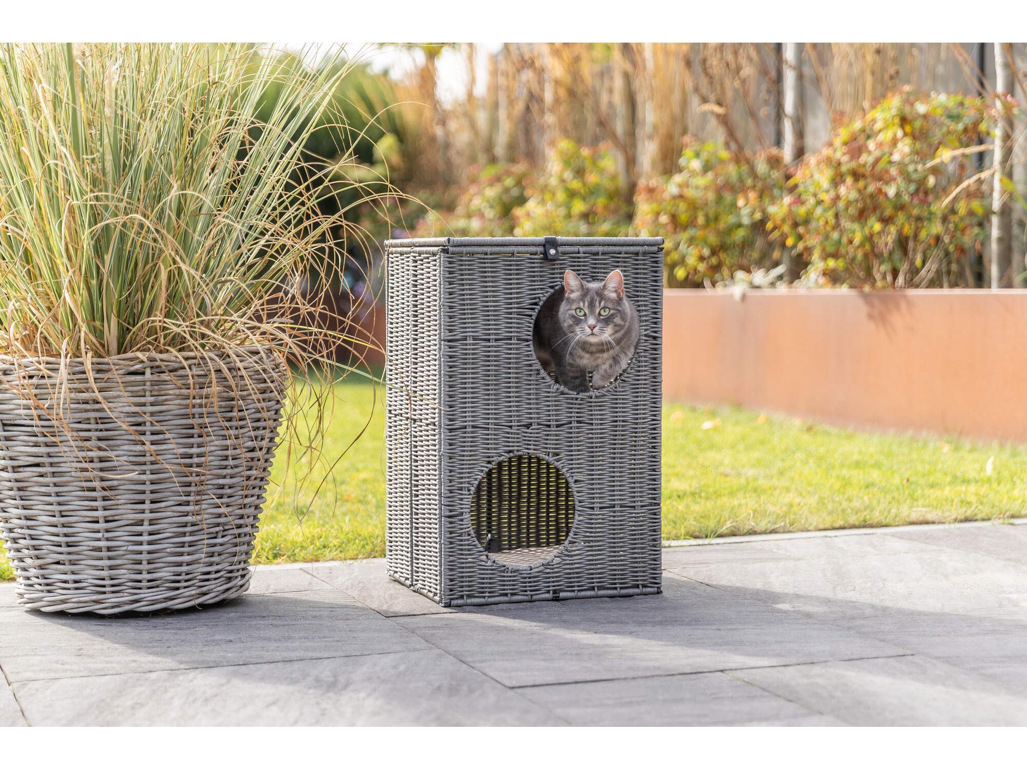 Grått polyrattan kattemøbel med to etasjer og en katt som titter ut, ved en stor potteplante.