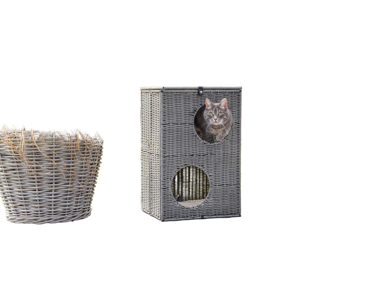 Grått polyrattan kattemøbel med to etasjer og en katt som titter ut, ved en stor potteplante.